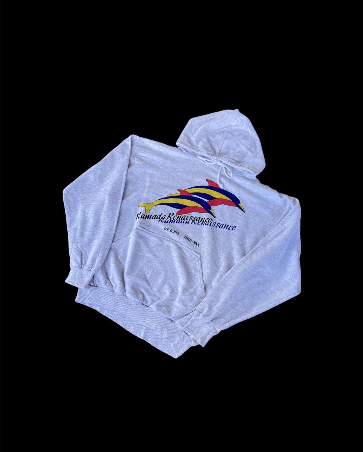 Vintage Vintage Ramada Renaissance Dolphin Hoodie Boxy Size US M / EU 48-50 / 2 - 1 Thumbnail