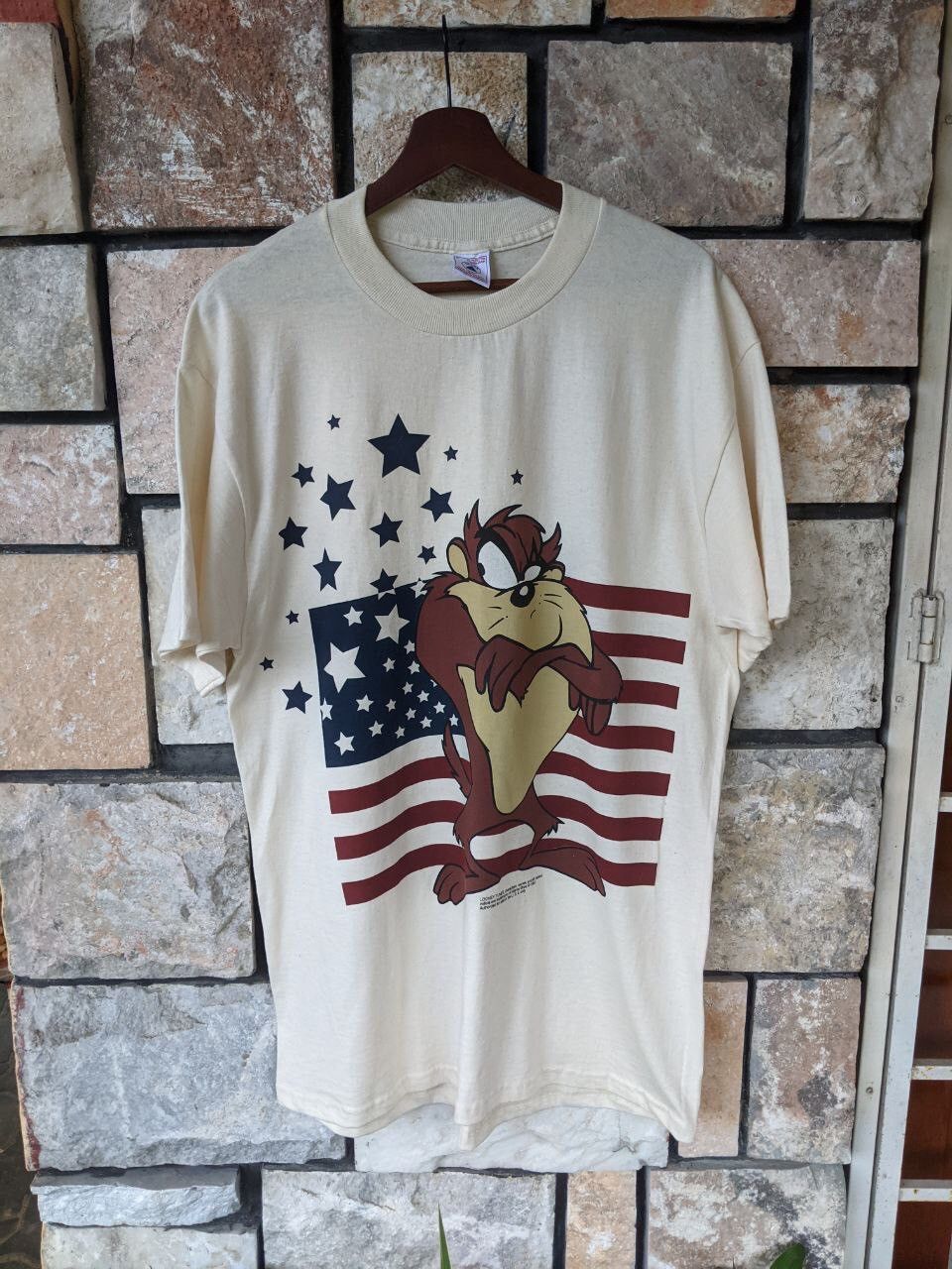 Vintage 90s Tazmania American Flag Tee x Warner Bros x Delta