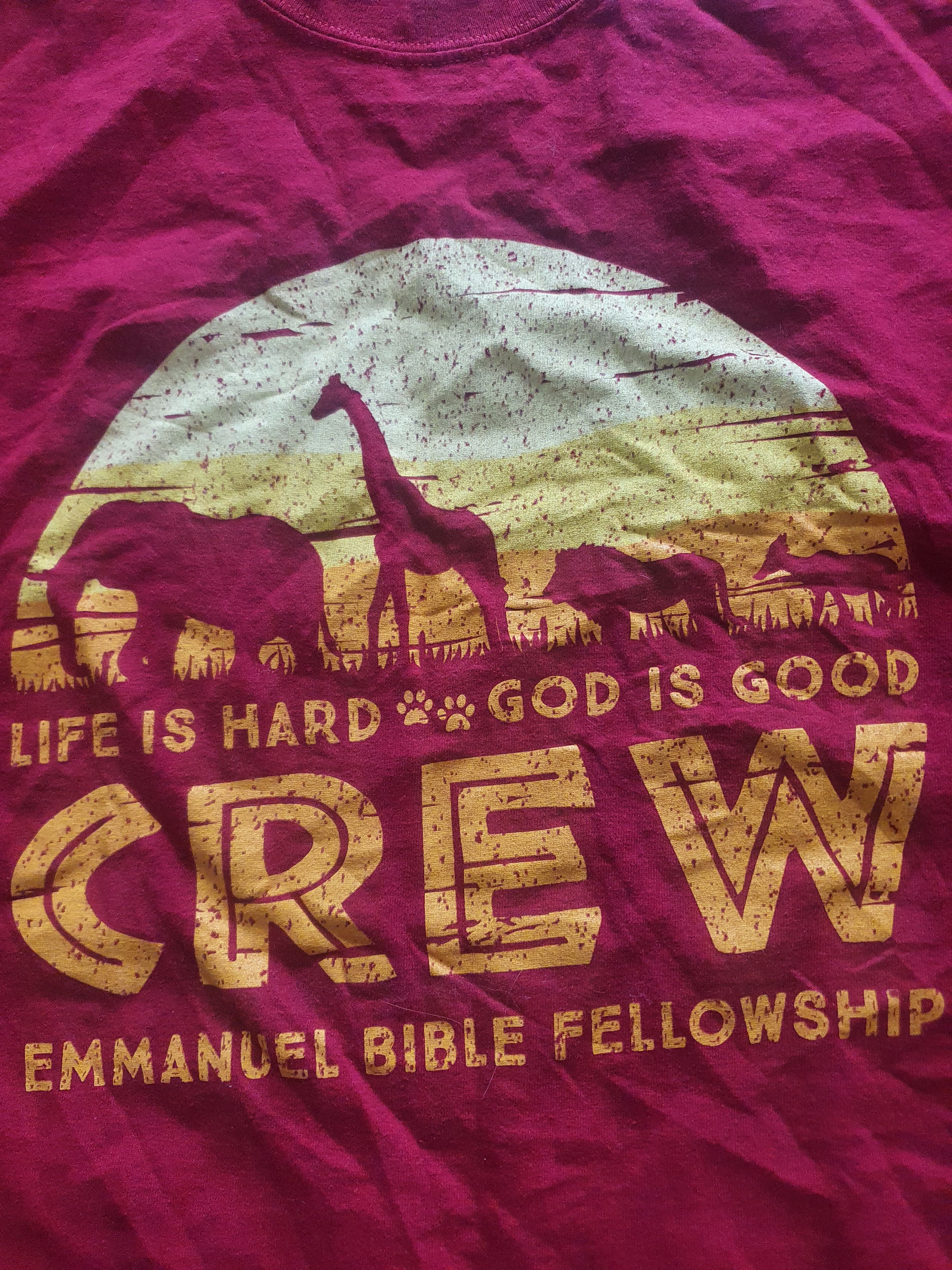 Other Life is Hard God is Good Lion King vibes religious tee,2XL Size US XXL / EU 58 / 5 - 7 Thumbnail
