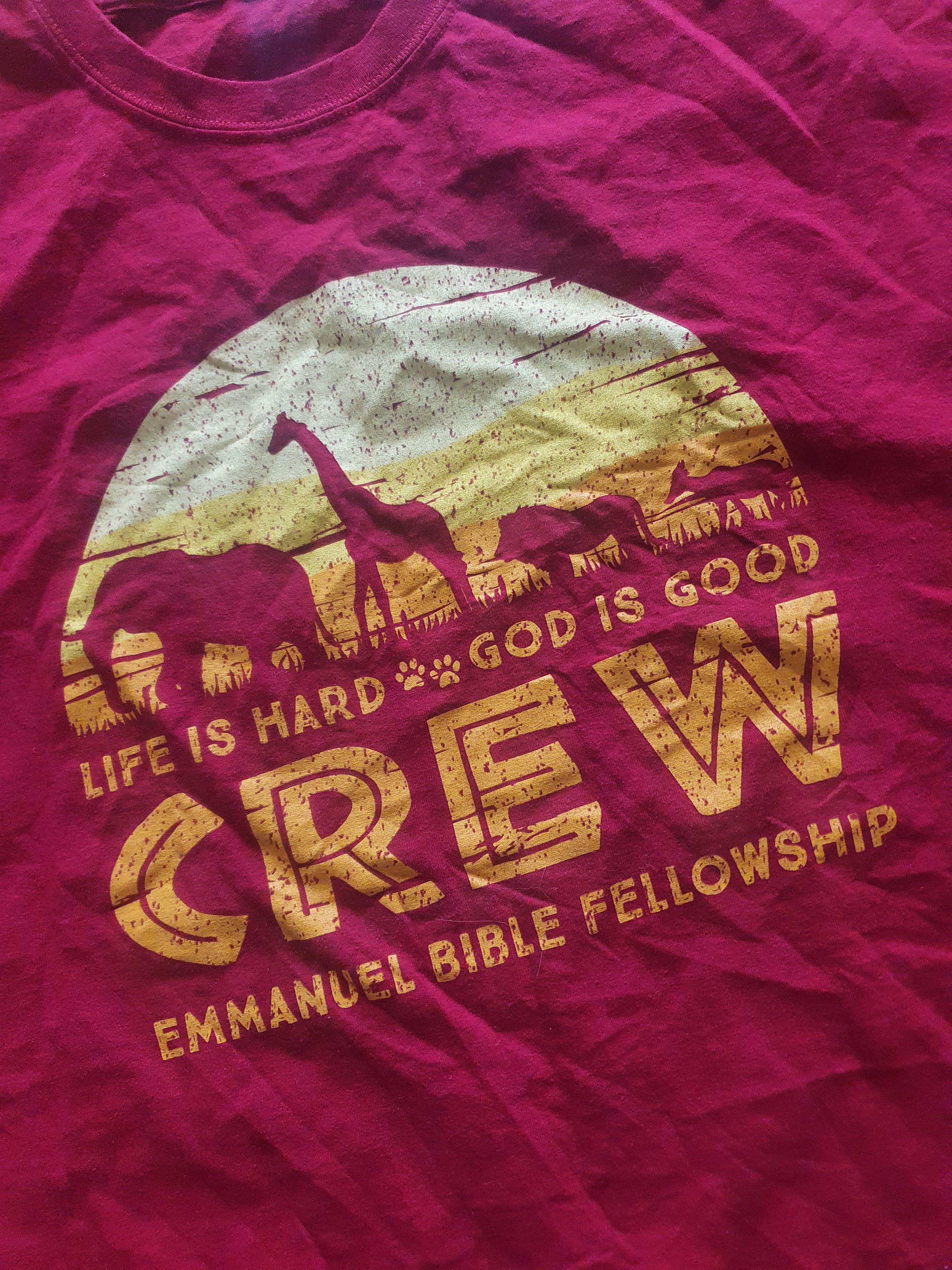Other Life is Hard God is Good Lion King vibes religious tee,2XL Size US XXL / EU 58 / 5 - 6 Thumbnail
