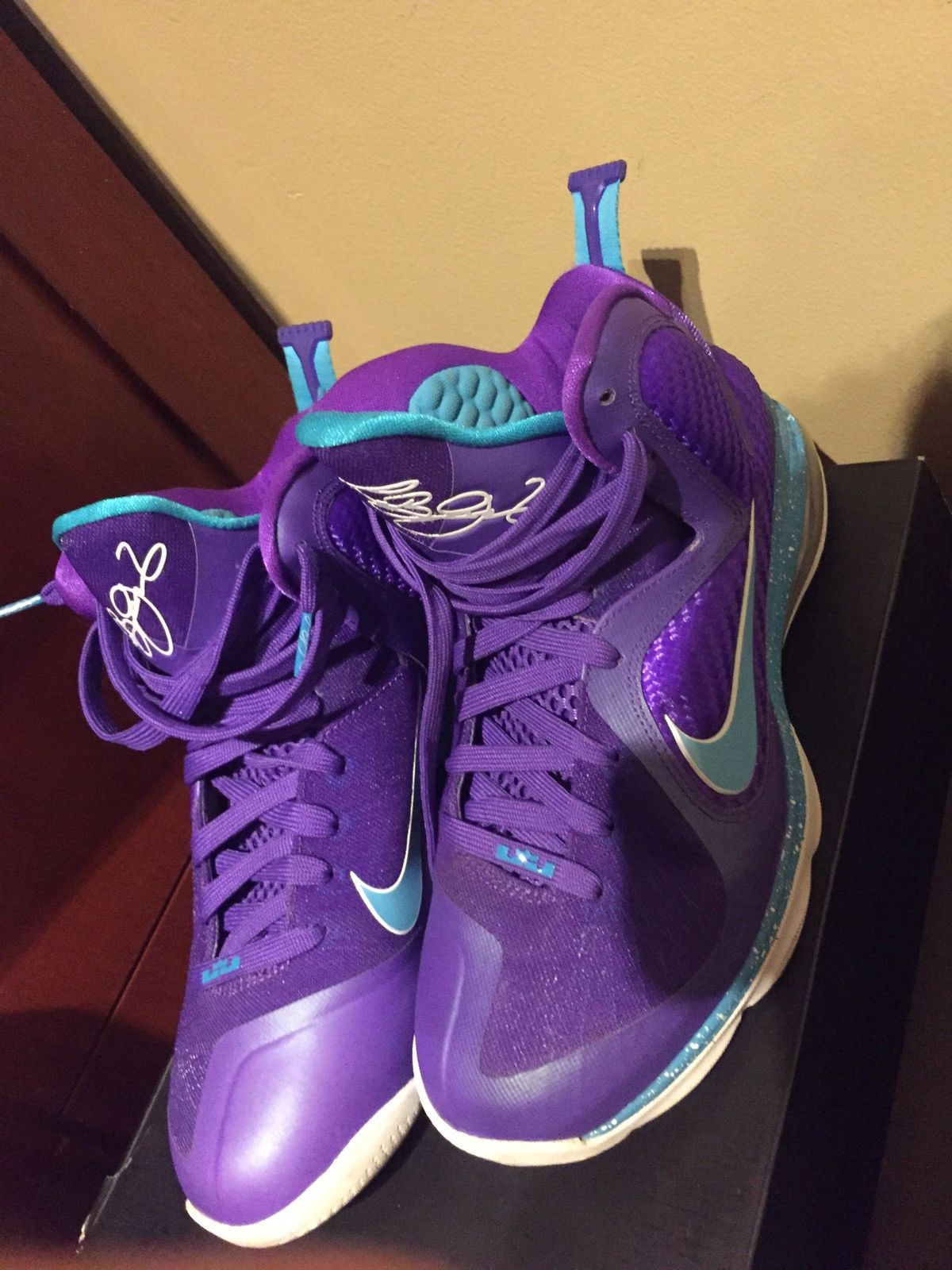Nike lebron 9 hornets shop