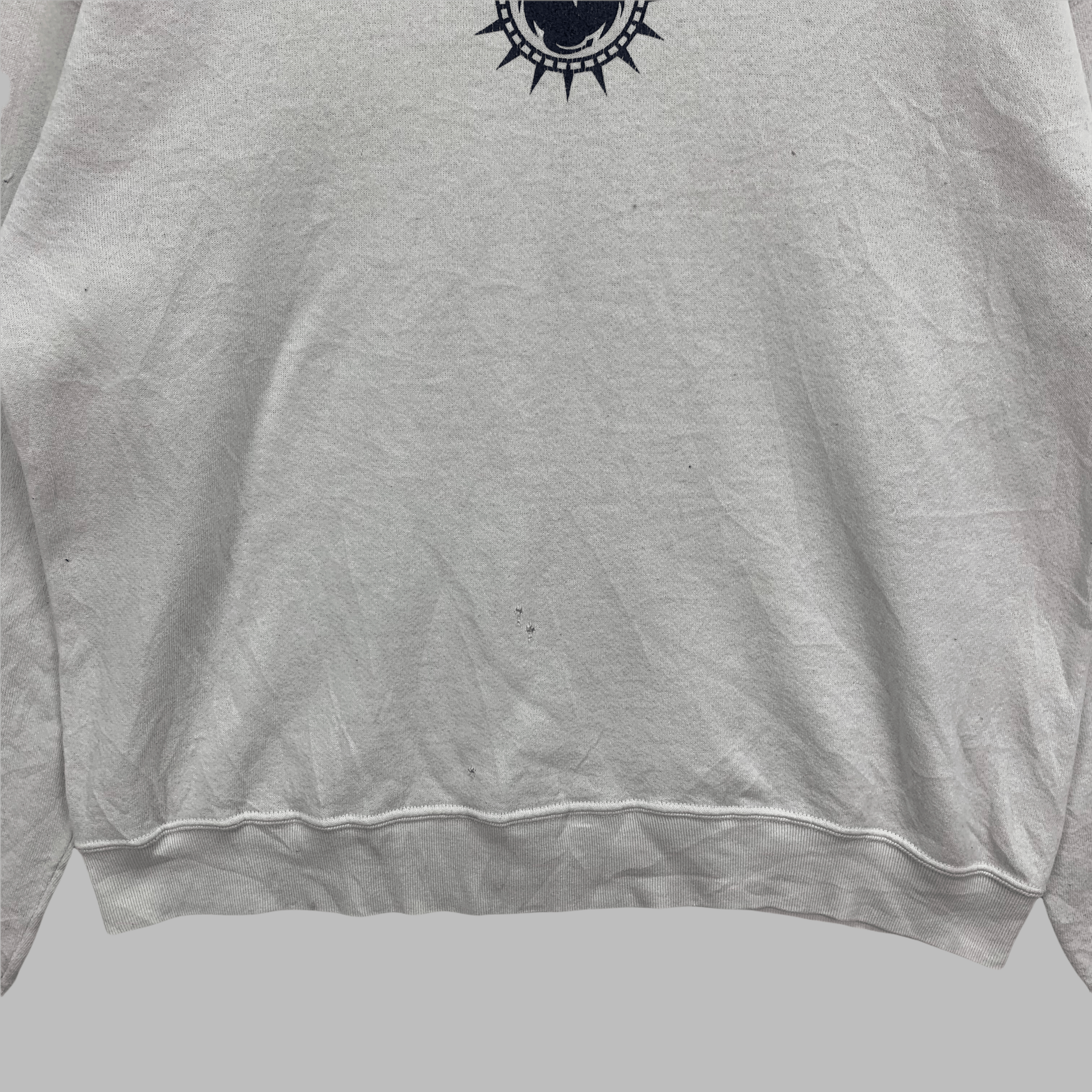 Fruit Of The Loom TRASHED🔥 90's Dragon Optical Big Logo Sweatshirts #3719-130 Size US L / EU 52-54 / 3 - 8 Thumbnail