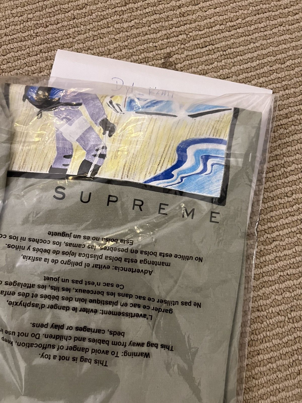 Supreme The North Face Sketch tee Sage Green