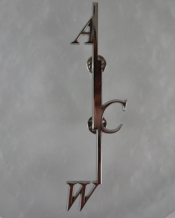 A cold hot sale wall brooch