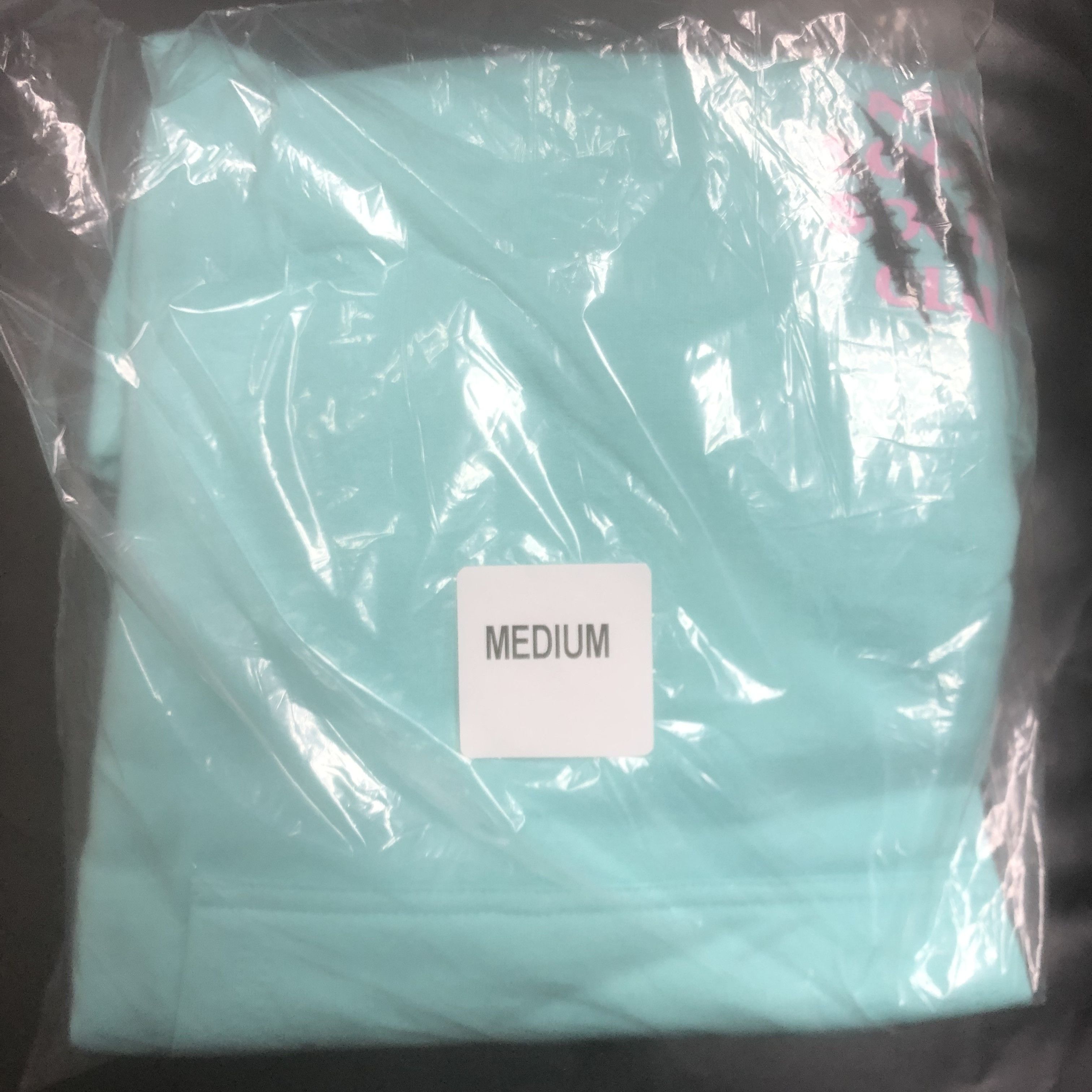 Anti Social Social Club DS Pink ASSC After Us Mint Hoodie BAPE KITH KAWS FTP FOG CDG Size US M / EU 48-50 / 2 - 2 Thumbnail