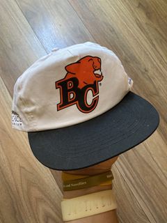 Vintage Detroit Lions American Needle Blockhead Snapback Football