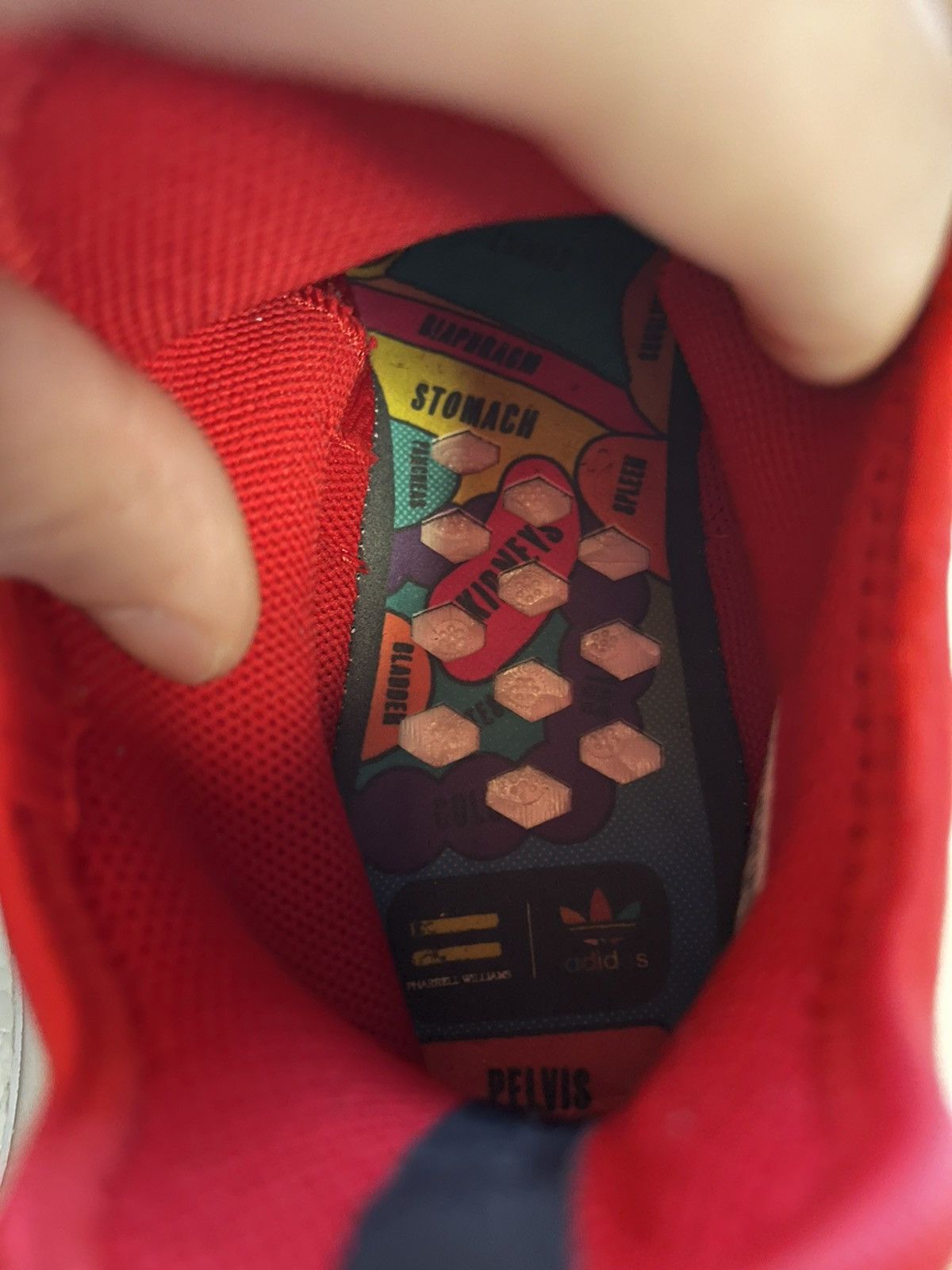 Human Race NMD red DS