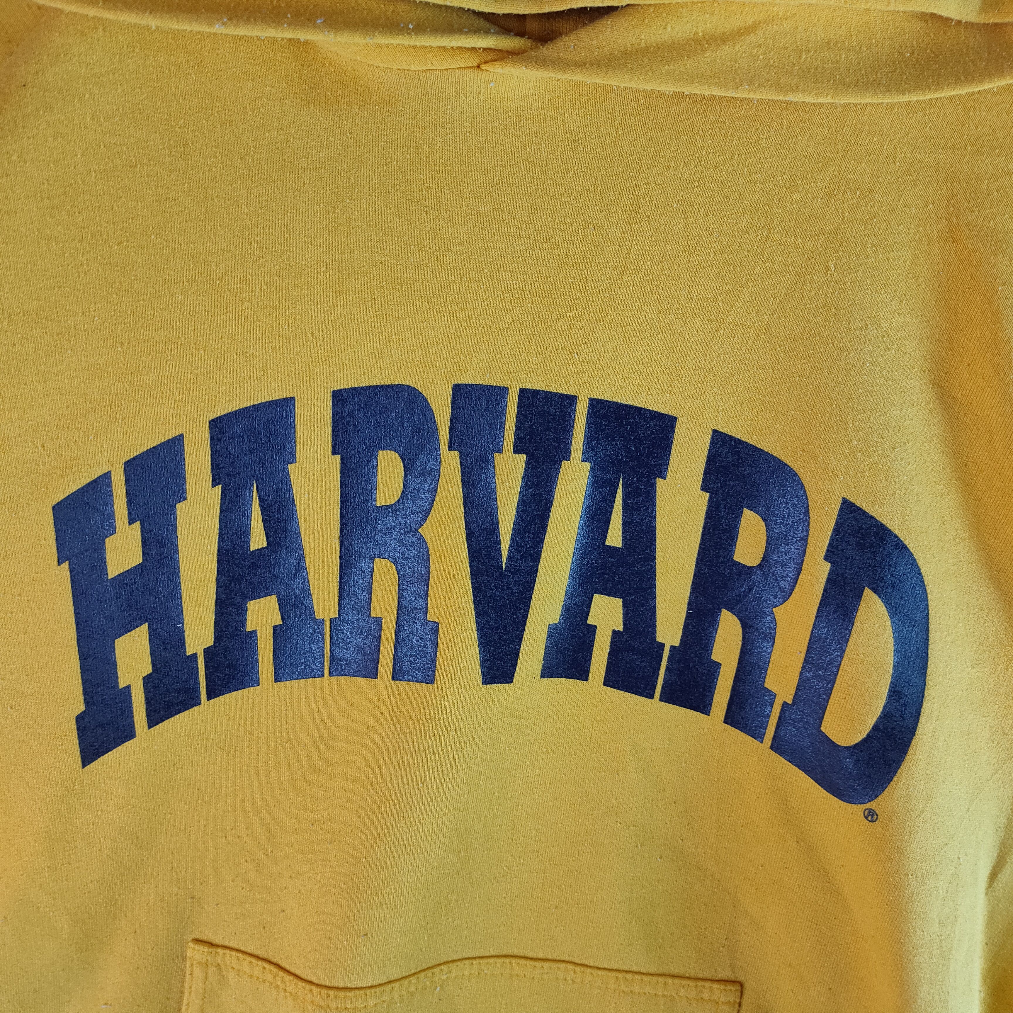 Champion VINTAGE CHAMPION Made in USA HARVARD Hoodie Size US M / EU 48-50 / 2 - 2 Thumbnail
