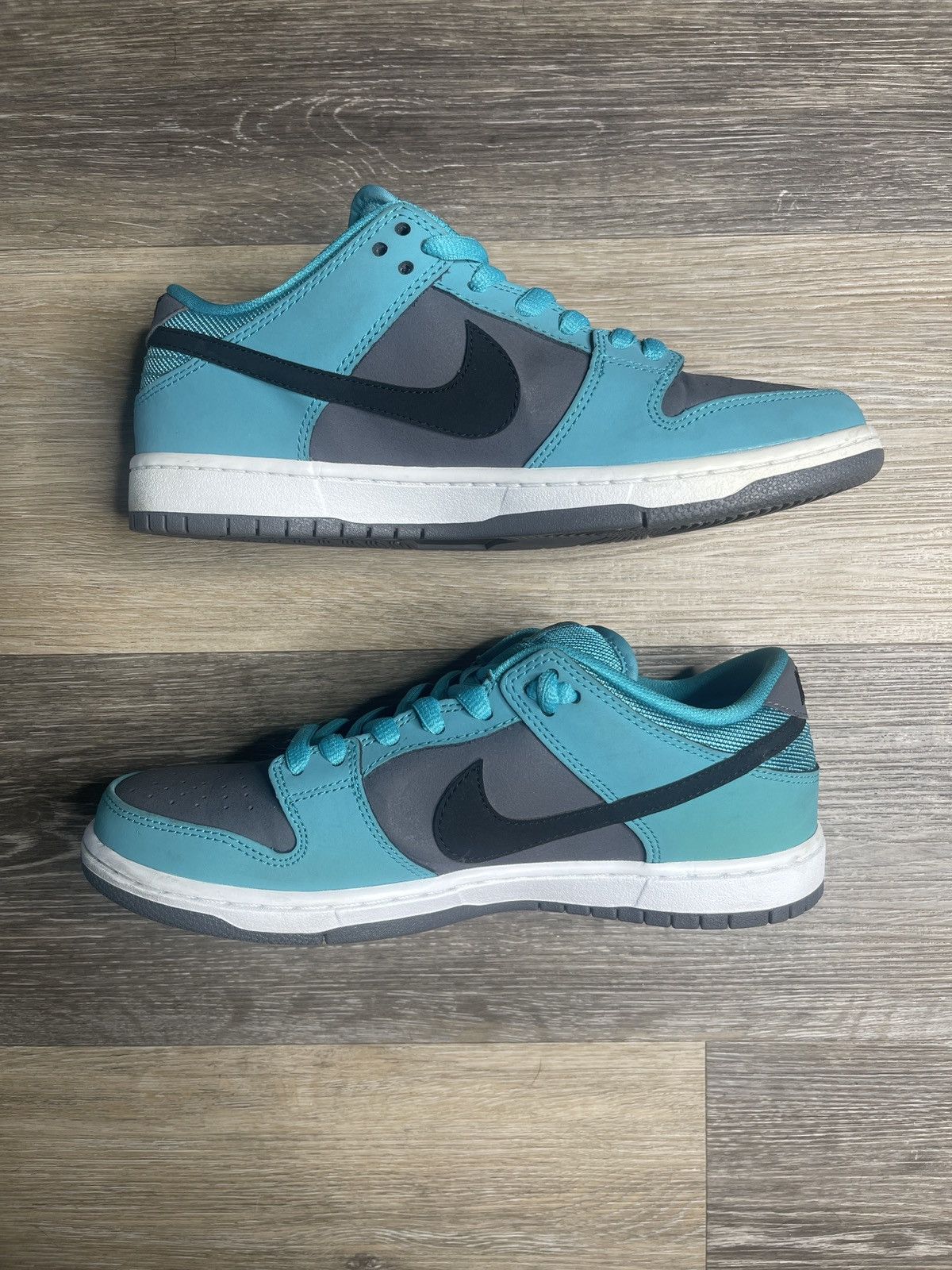 dusty cactus nike sb