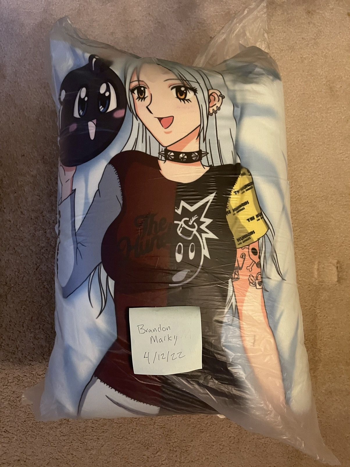 The Hundreds The Hundreds x Secret Heart Body Pillow. Super rare. Size ONE SIZE - 1 Thumbnail