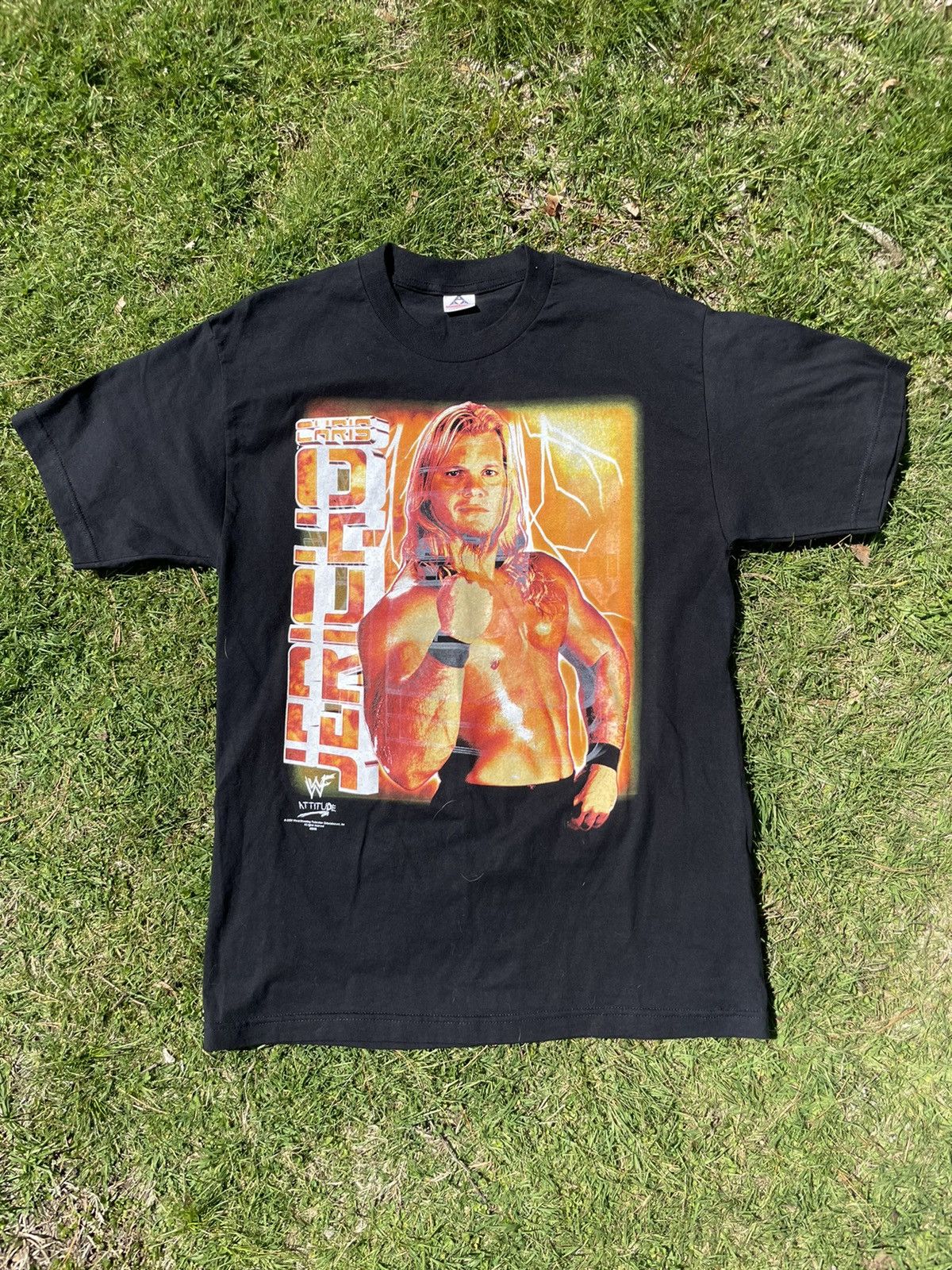 Vintage Vintage Y2K WWF Chris Jericho Tee RARE | Grailed