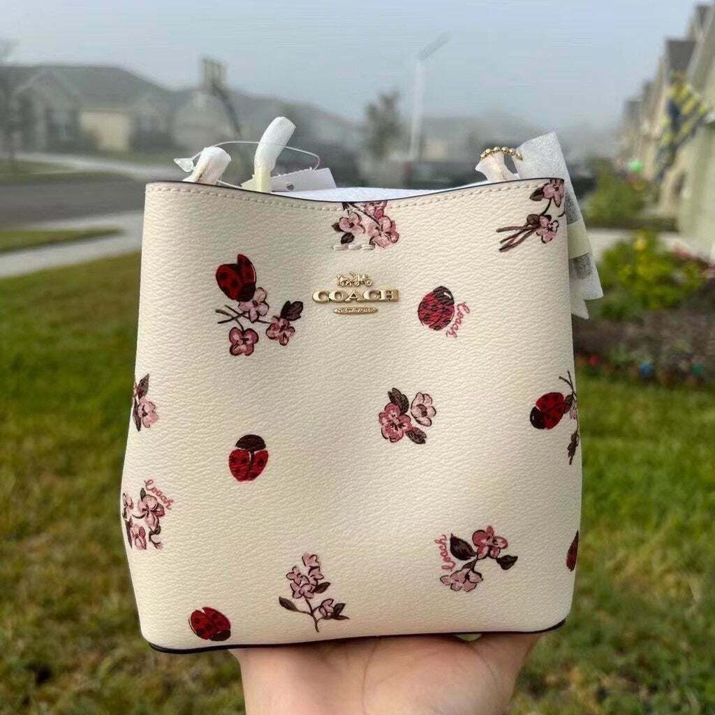 Small town bucket bag with ladybug print sale