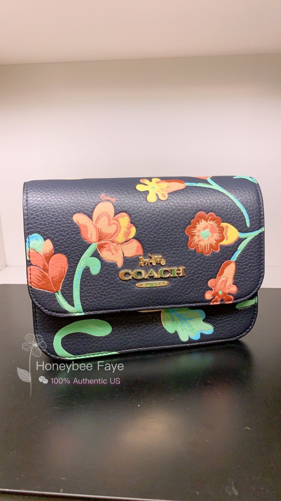 Coach Mini Brynn Crossbody With Dreamy newest Land Floral Print