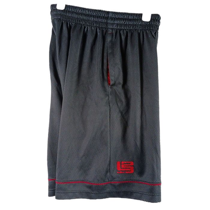 mens lebron shorts