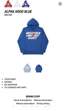 Palace on sale alpha hoodie