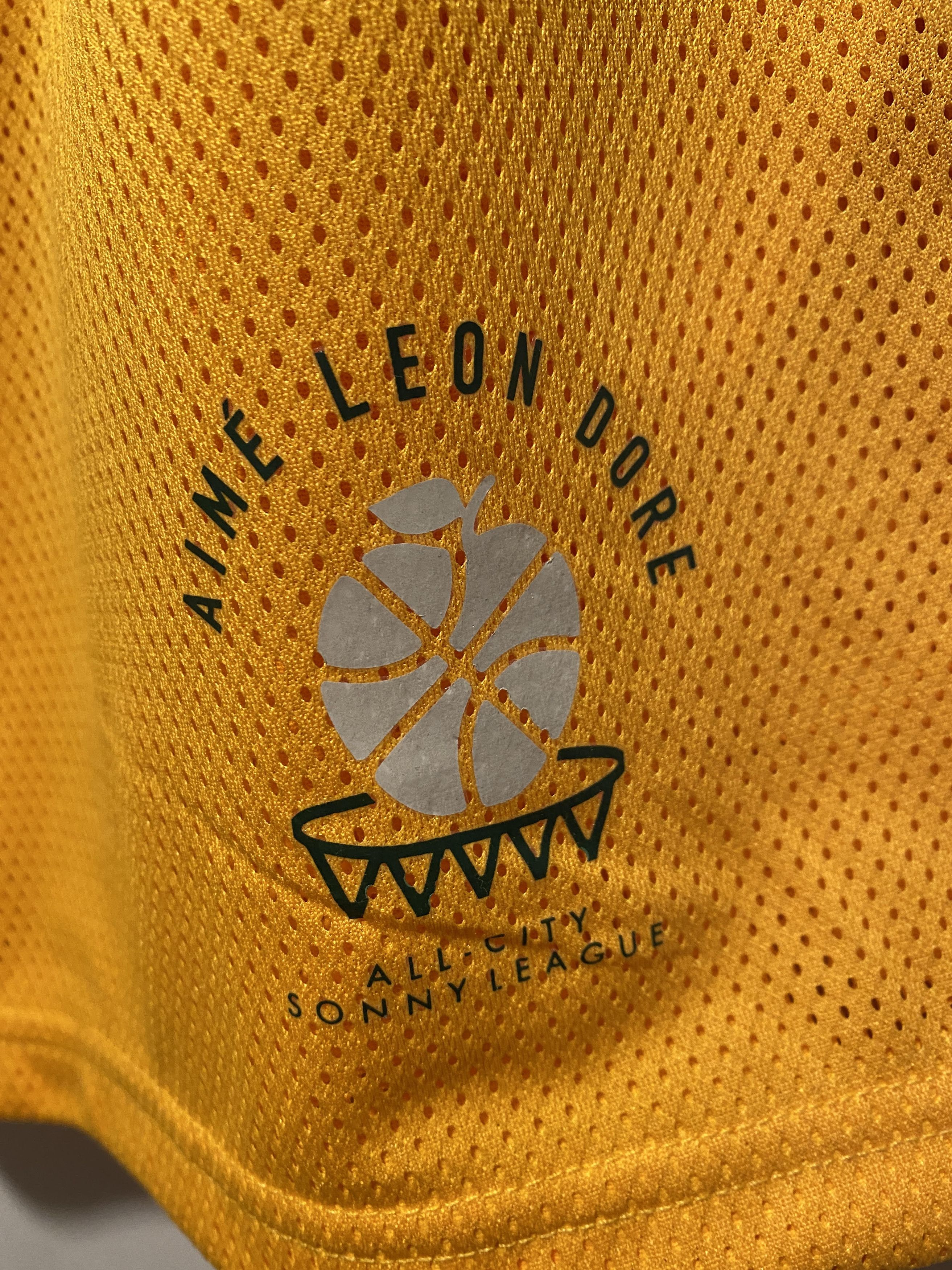 Aime Leon Dore × New Balance Aime leon dore ALD / New Balance SONNY League Gym Shorts Size US 34 / EU 50 - 3 Thumbnail