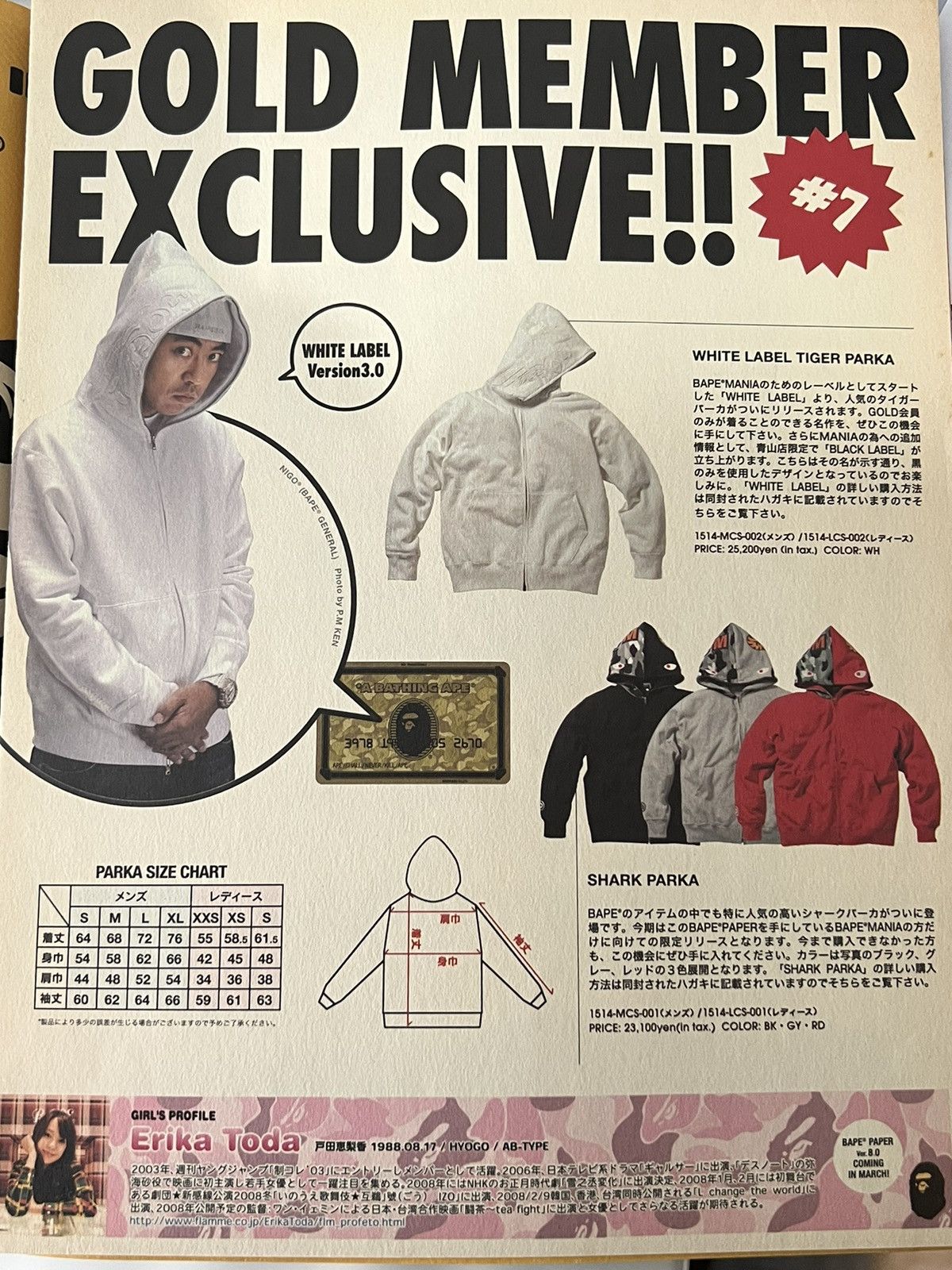 Bape BAPE Girl Poster Isetan Plaid Japan A Bathing Ape Size ONE SIZE - 8 Thumbnail