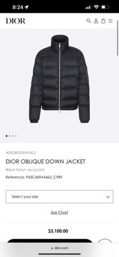Christian Dior Dior Oblique Mens Down Jackets 2023 Ss, Green, 48