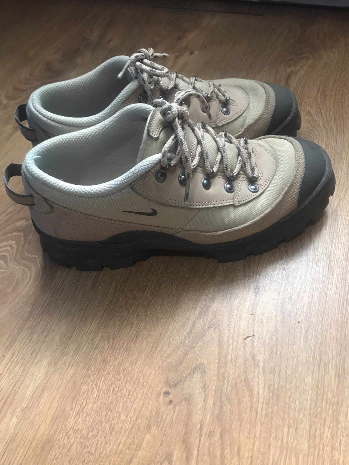 dear larry nike shoes