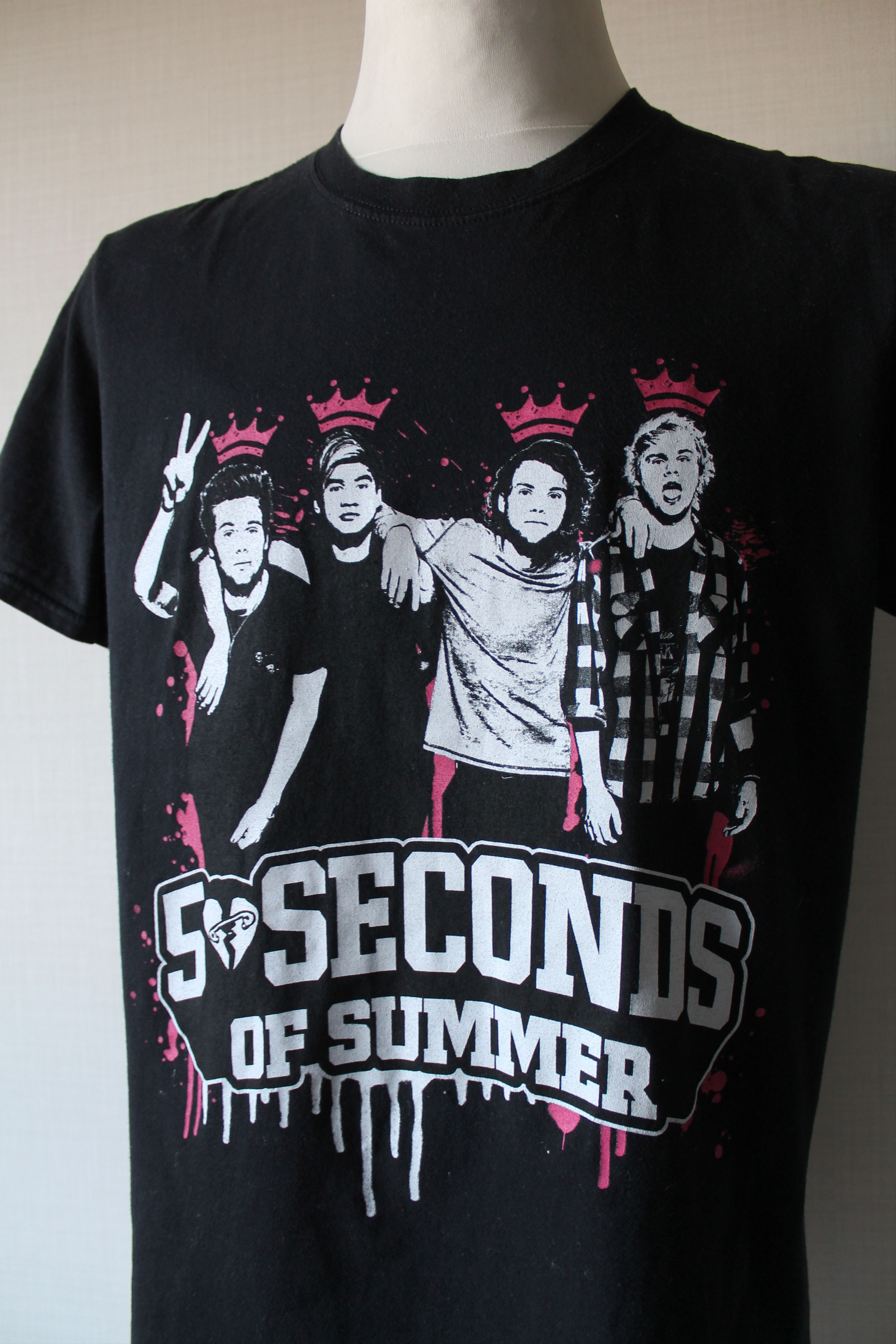 Band Tees 5 Seconds Of Summer world Tour tee Band Rock Size US L / EU 52-54 / 3 - 8 Thumbnail