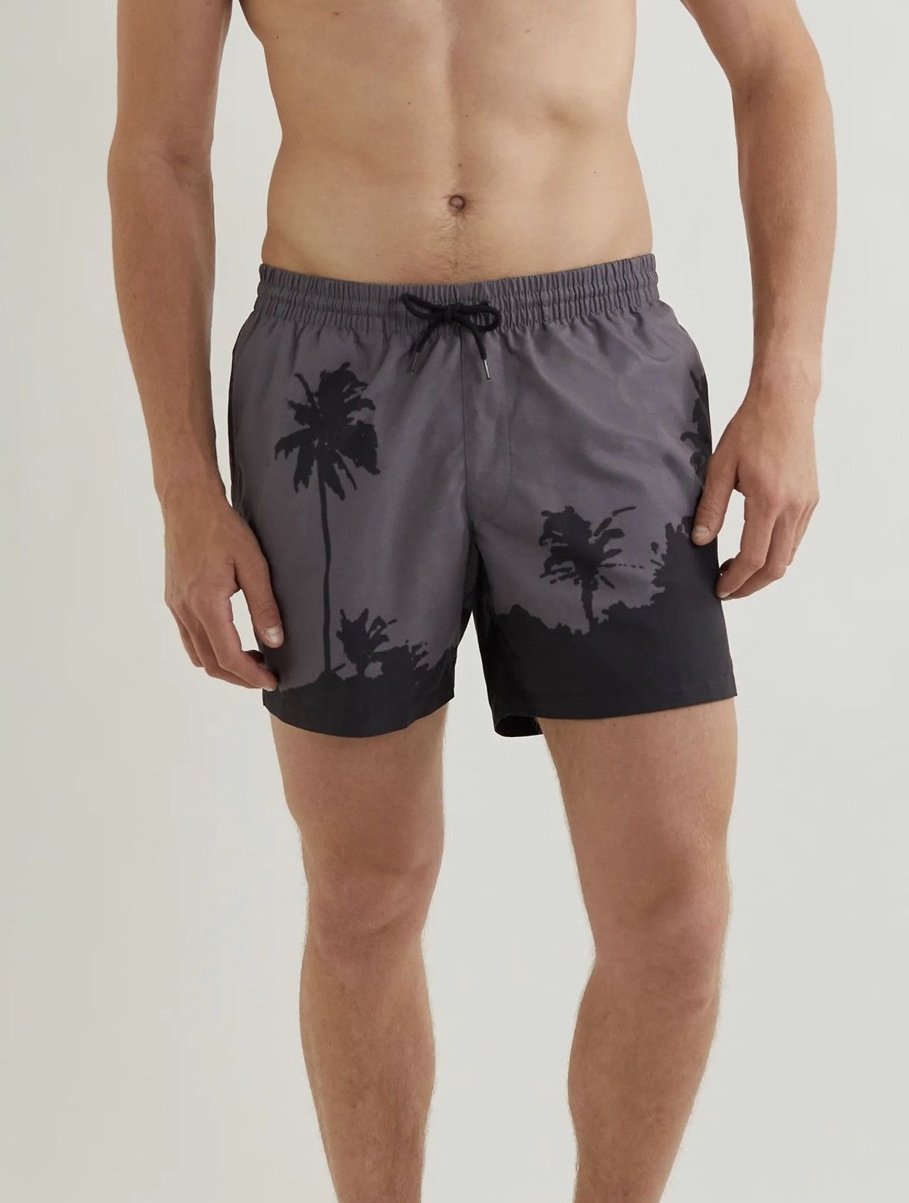 Dries Van Noten Dries Van Noten x Len Lye grey palm tree shorts Size US 32 / EU 48 - 2 Thumbnail