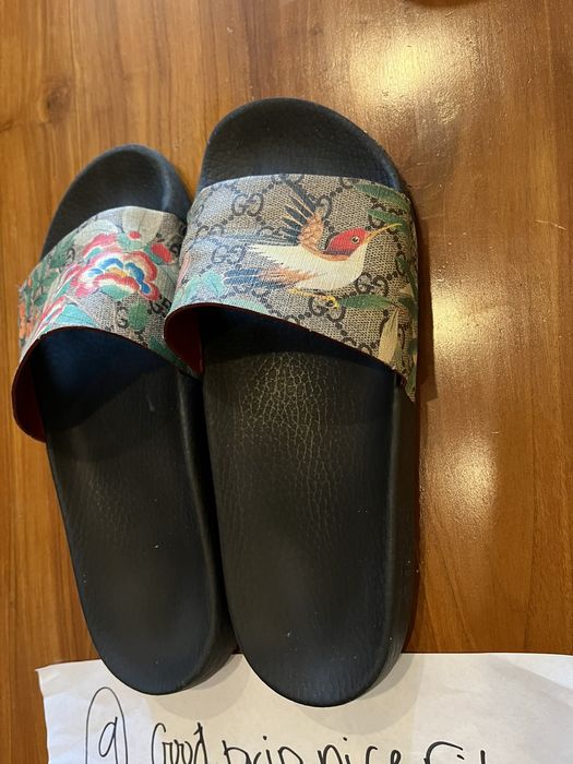 Hummingbird gucci sale slides