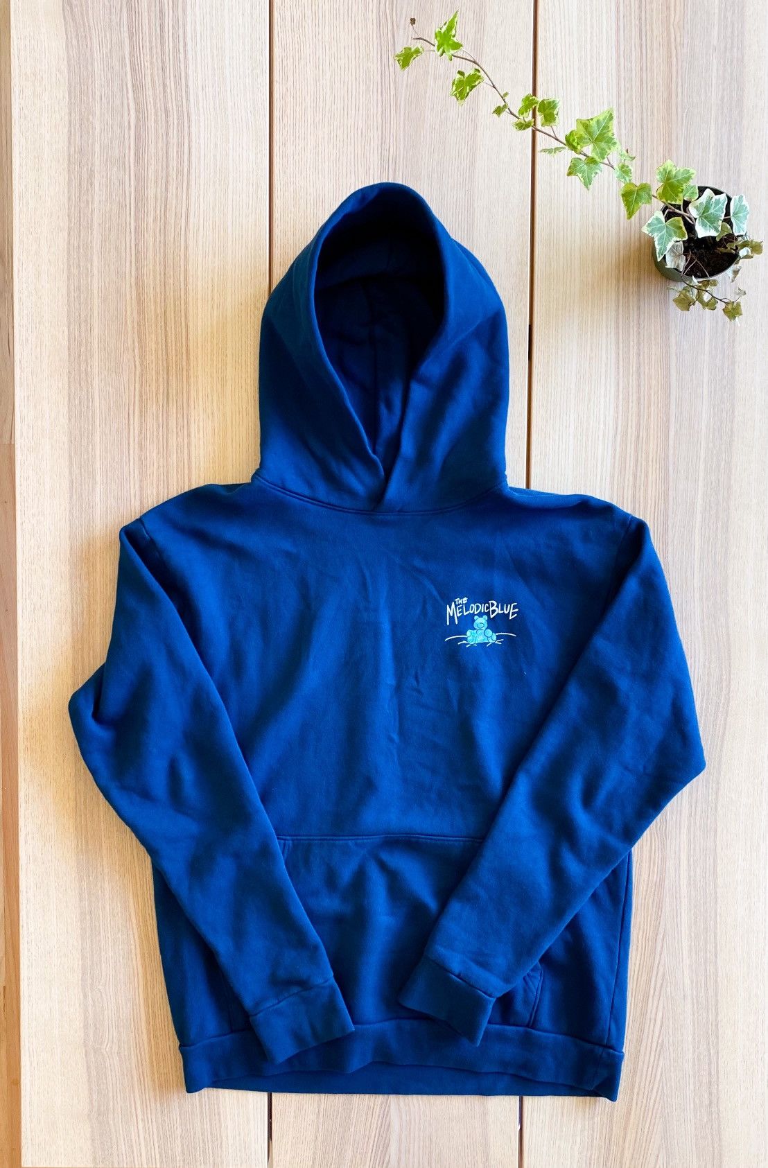 Baby Keem Melodic Blue tour Hoodie on sale size m