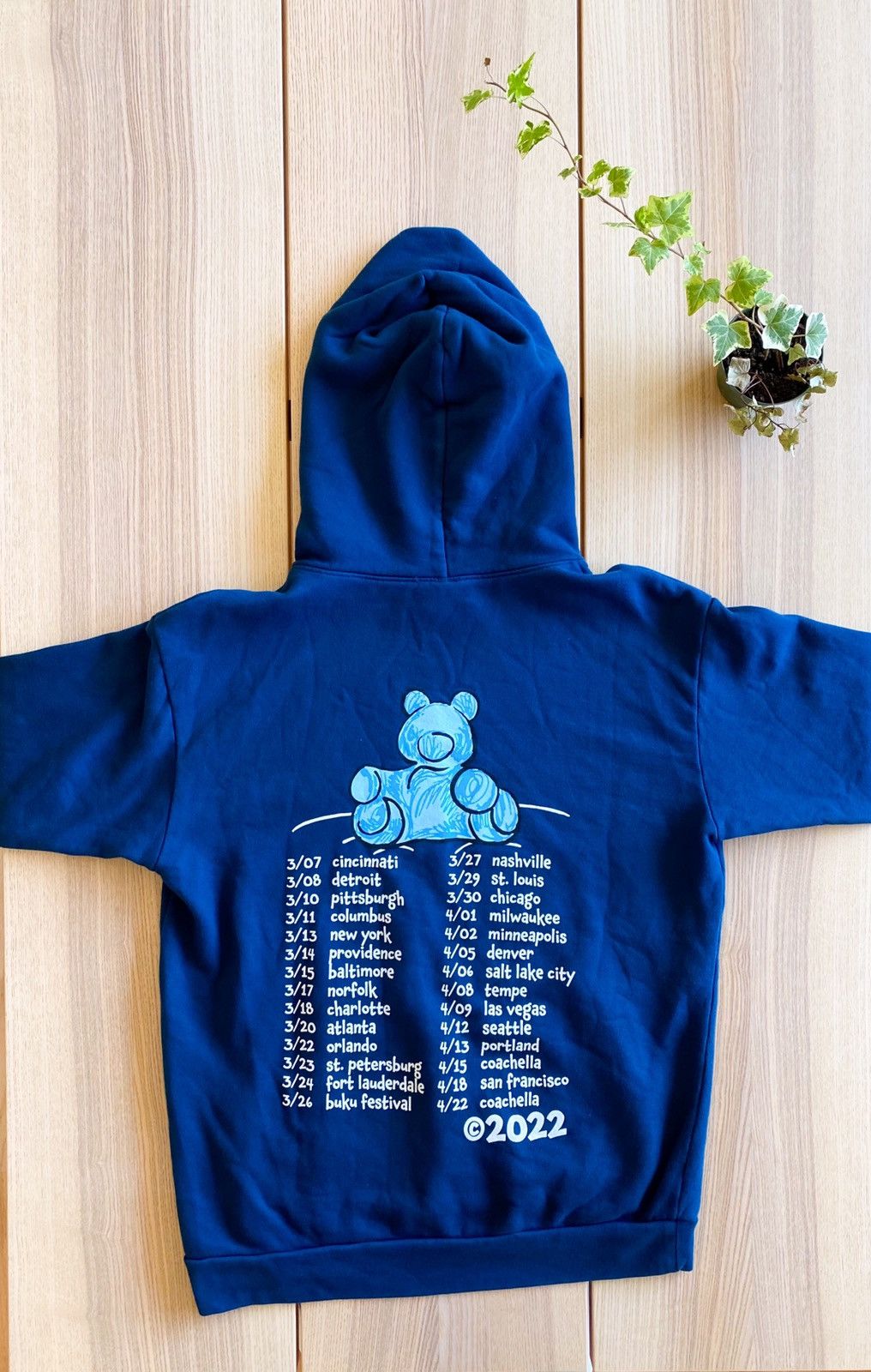 Baby Keem Melodic cheapest Blue tour Hoodie size m