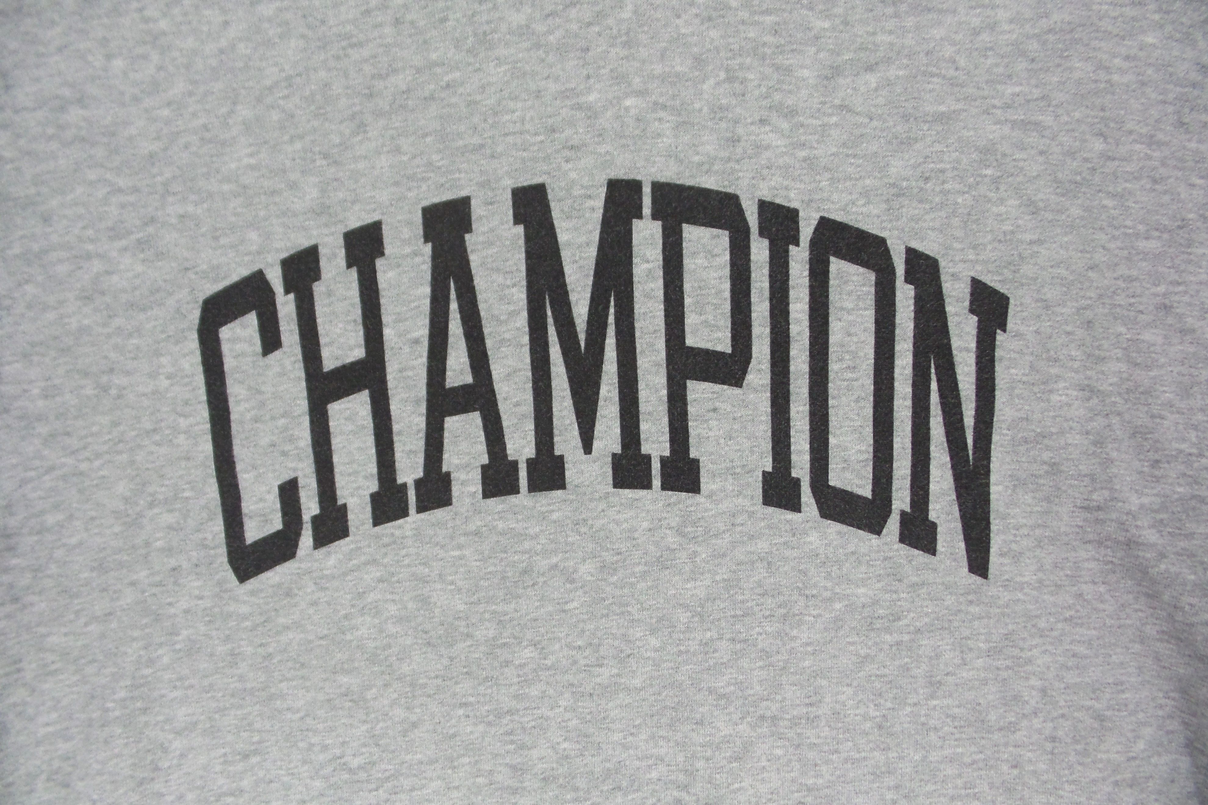 Champion Champion Big Spell Out Hoodies Size US L / EU 52-54 / 3 - 3 Thumbnail