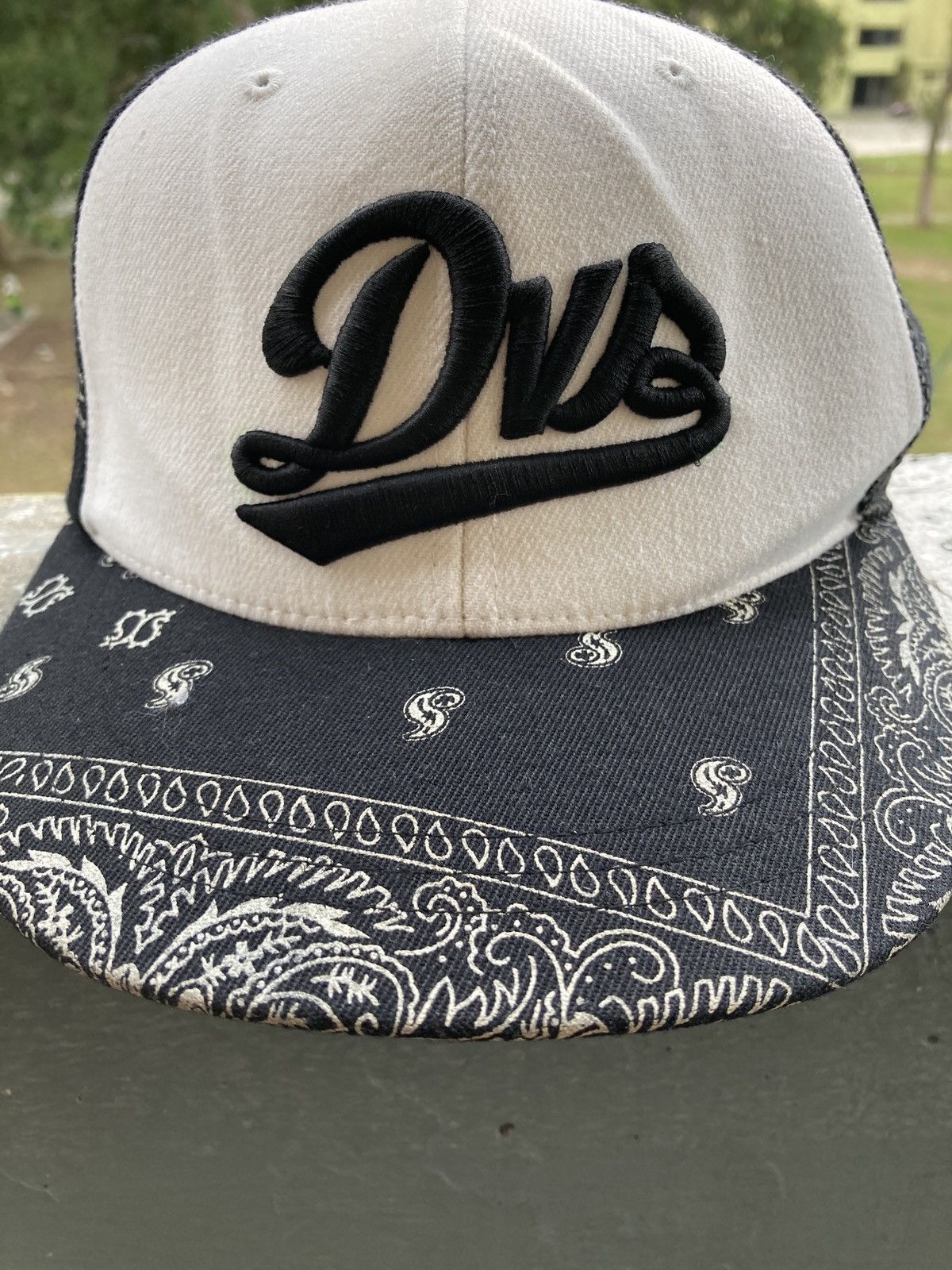 Dvs fashion skateboard