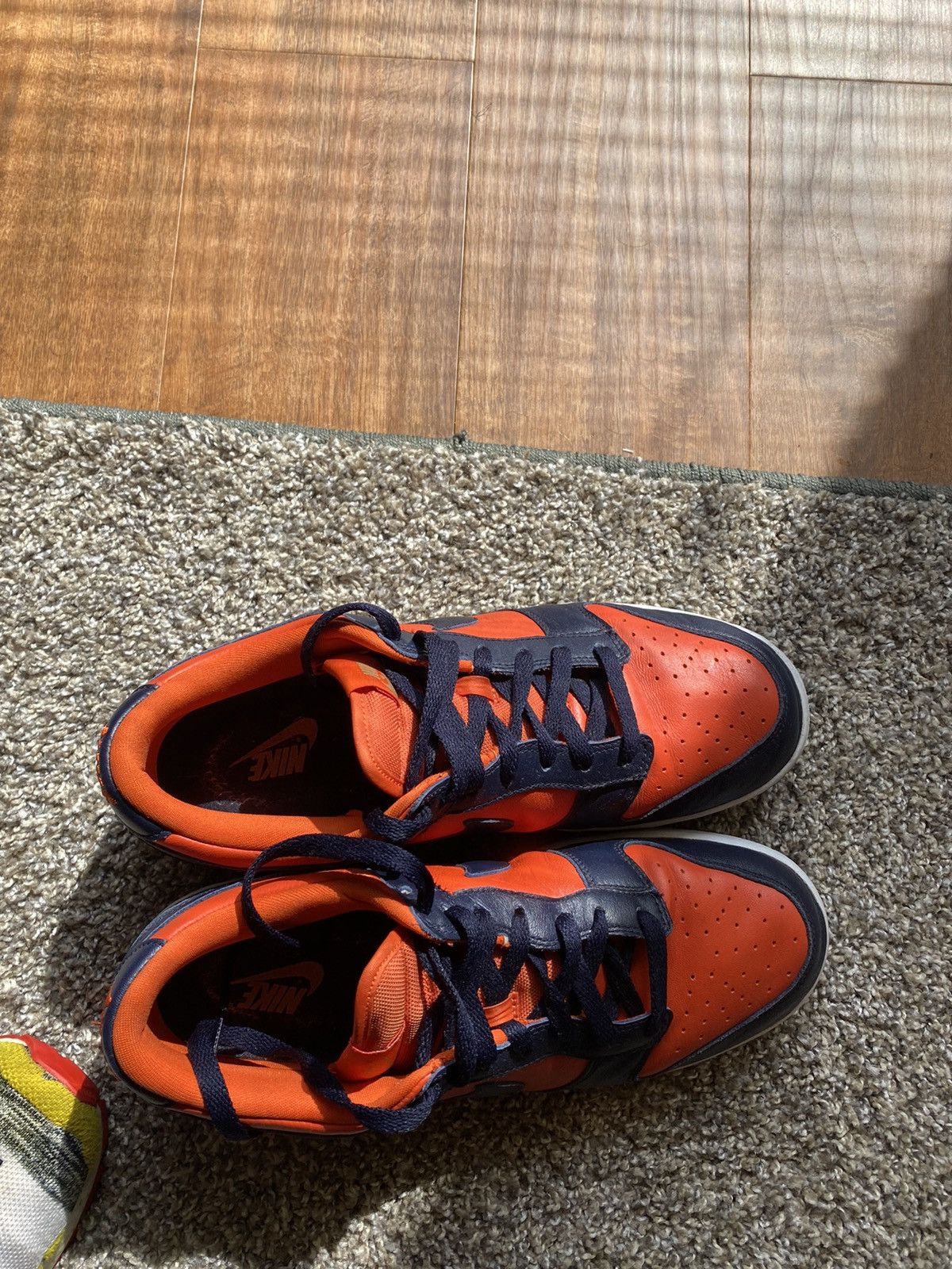 Nike dunk low SP Champ Colors