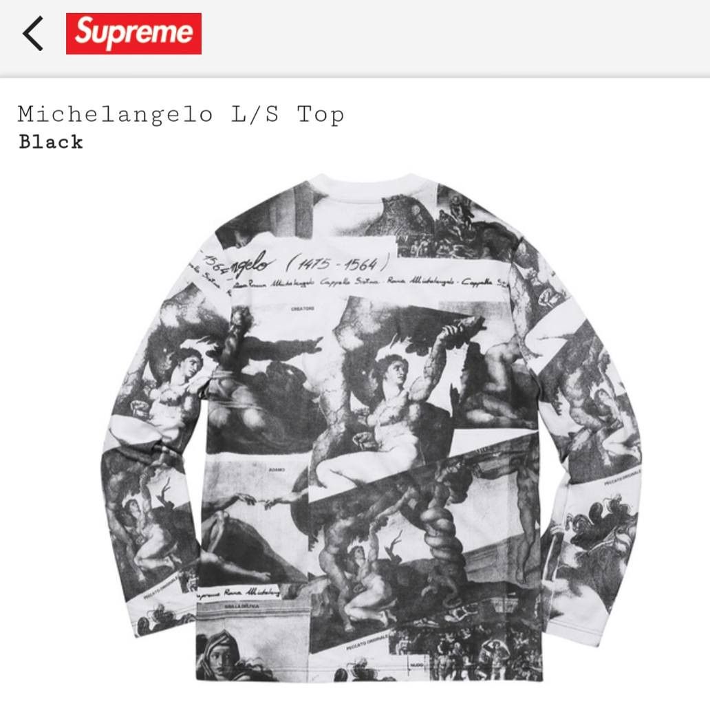 supreme 17AW Michelangelo L/S Top ロンT supreme 17AW Michelangelo L/S Top ロンT