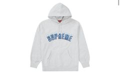 Supreme Icy Arc Hoodie | Grailed