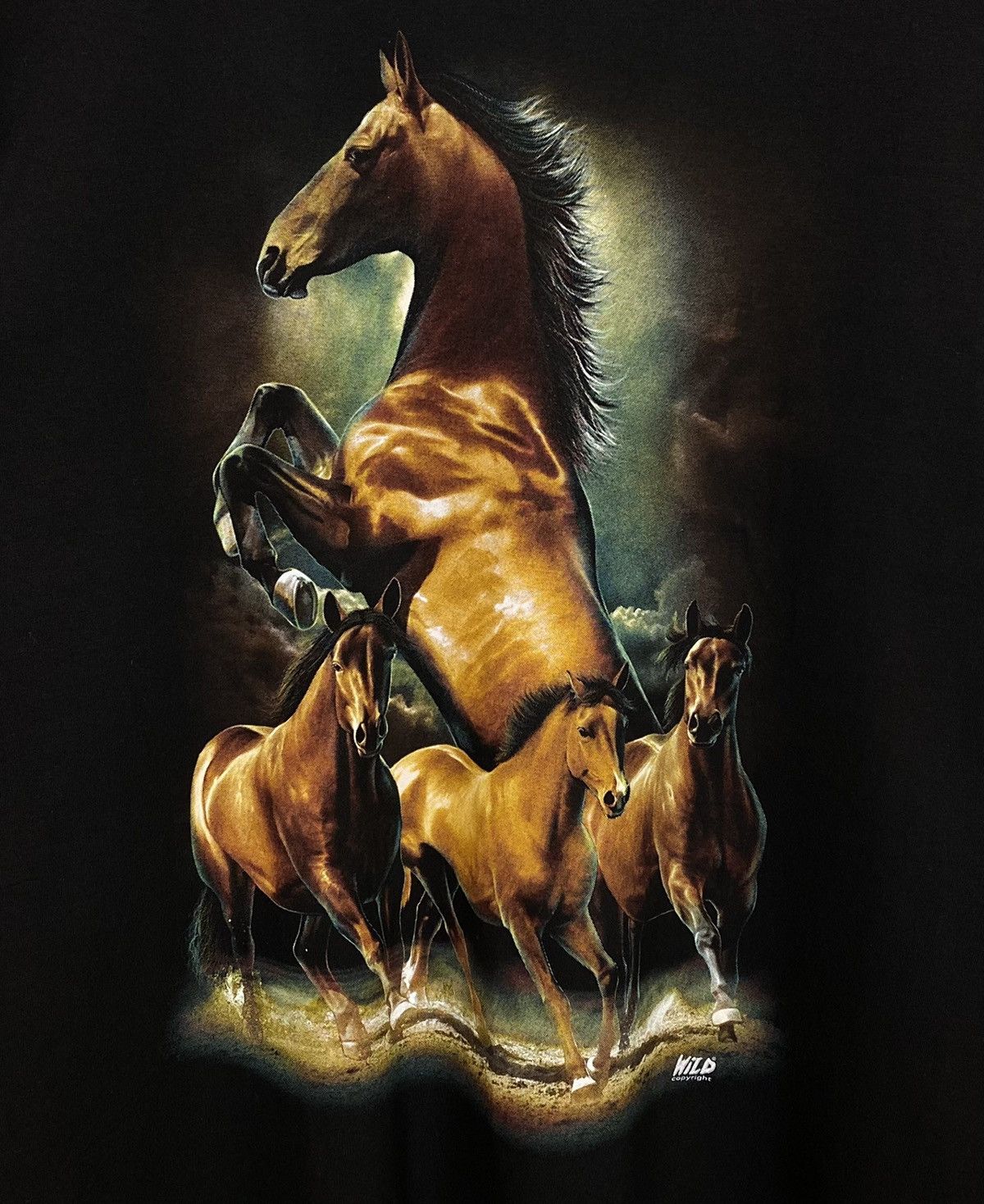 Band Tees Wild Copyright Print Horses Animal Tee Vintage t-shirt black Size US XL / EU 56 / 4 - 3 Thumbnail