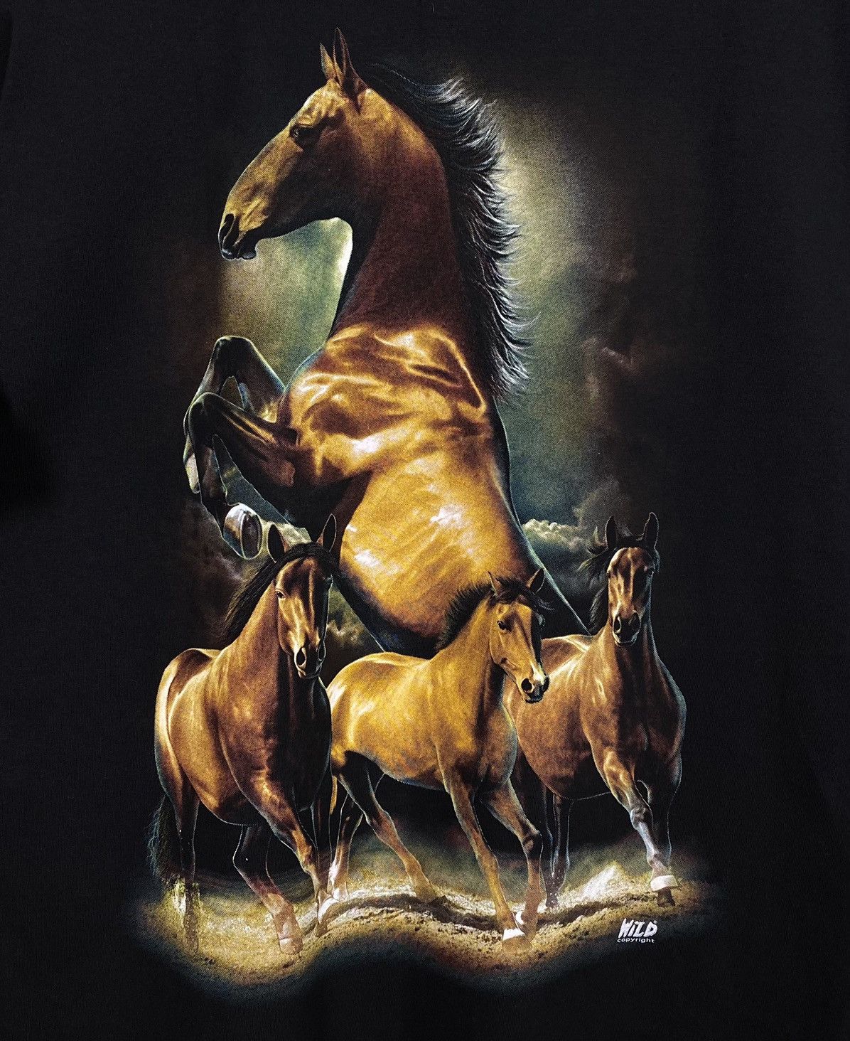 Band Tees Wild Copyright Print Horses Animal Tee Vintage t-shirt black Size US XL / EU 56 / 4 - 7 Thumbnail