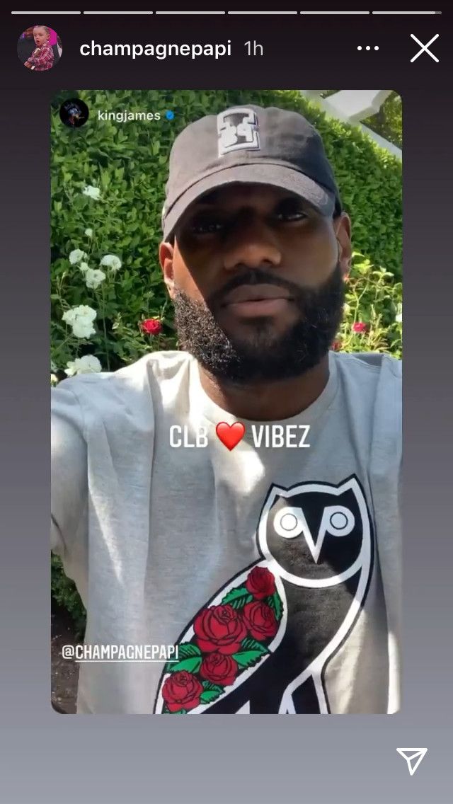 Drake 🥀RARE🥀 OVO X CLB SANDRA'S ROSE EMBROIDERED OWL HOODIE Size US XL / EU 56 / 4 - 3 Thumbnail
