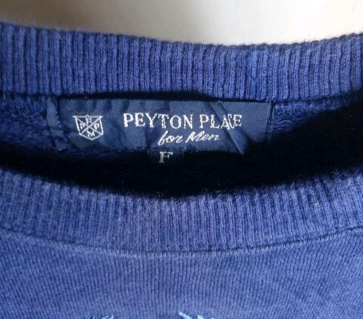 Japanese Brand Peytonplace for Men Embroidered Sweatshirt Size US M / EU 48-50 / 2 - 5 Thumbnail