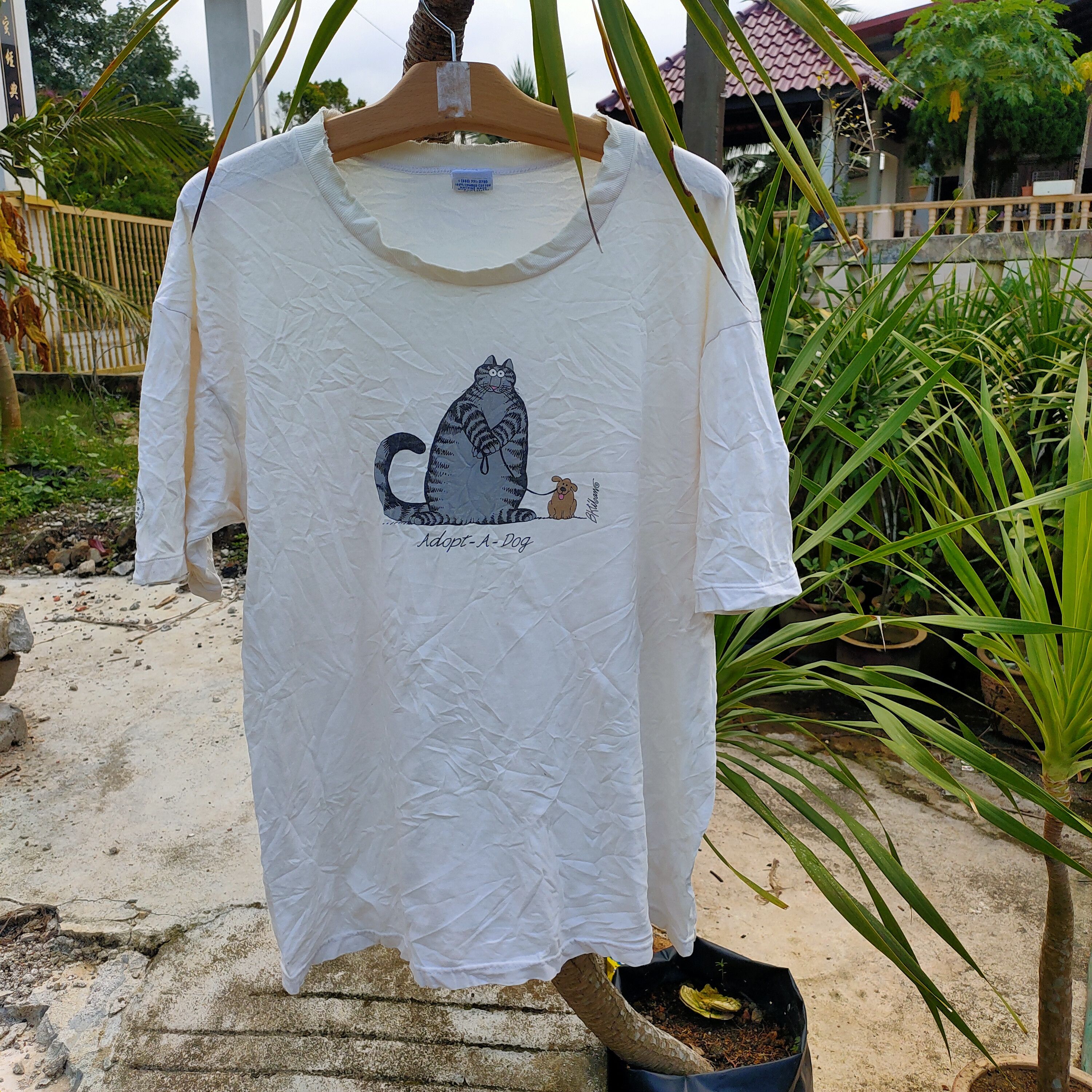 Cat Hawaiian Humane Society Lost And Found Hawaiian Humane Society