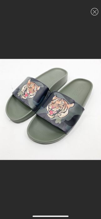 Polo 2024 slides tiger