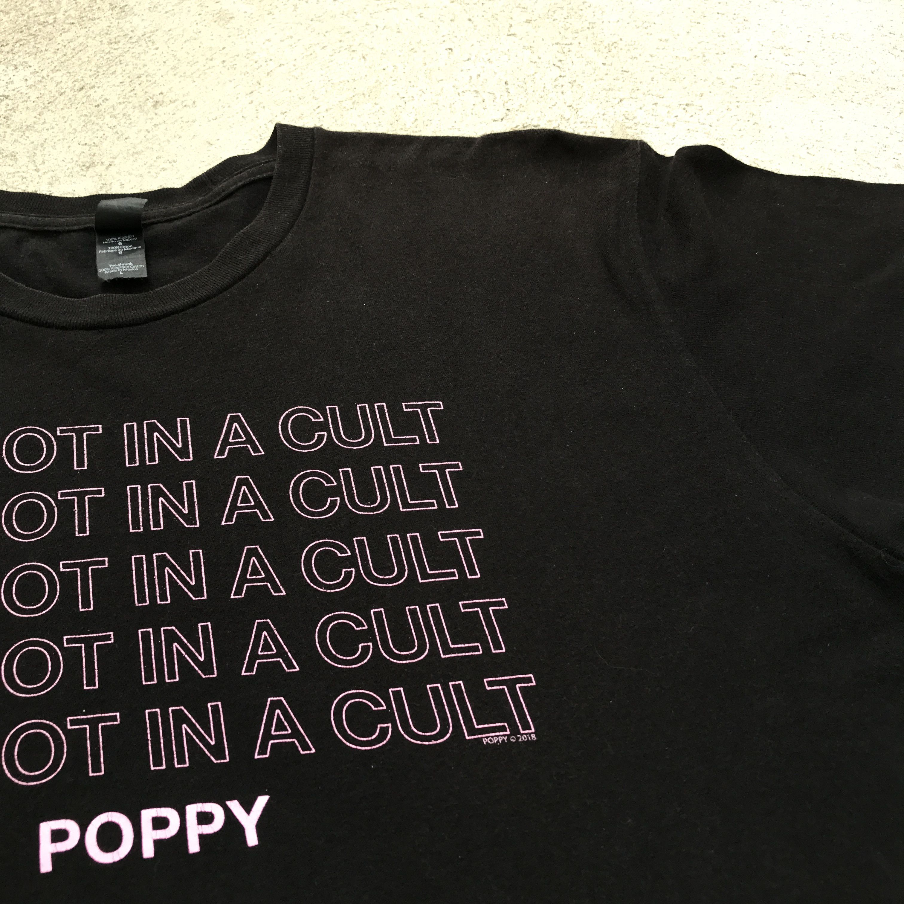 Band Tees × Tultex 2018 POPPY Promo Tee Electronic Industrial music Size US L / EU 52-54 / 3 - 6 Thumbnail