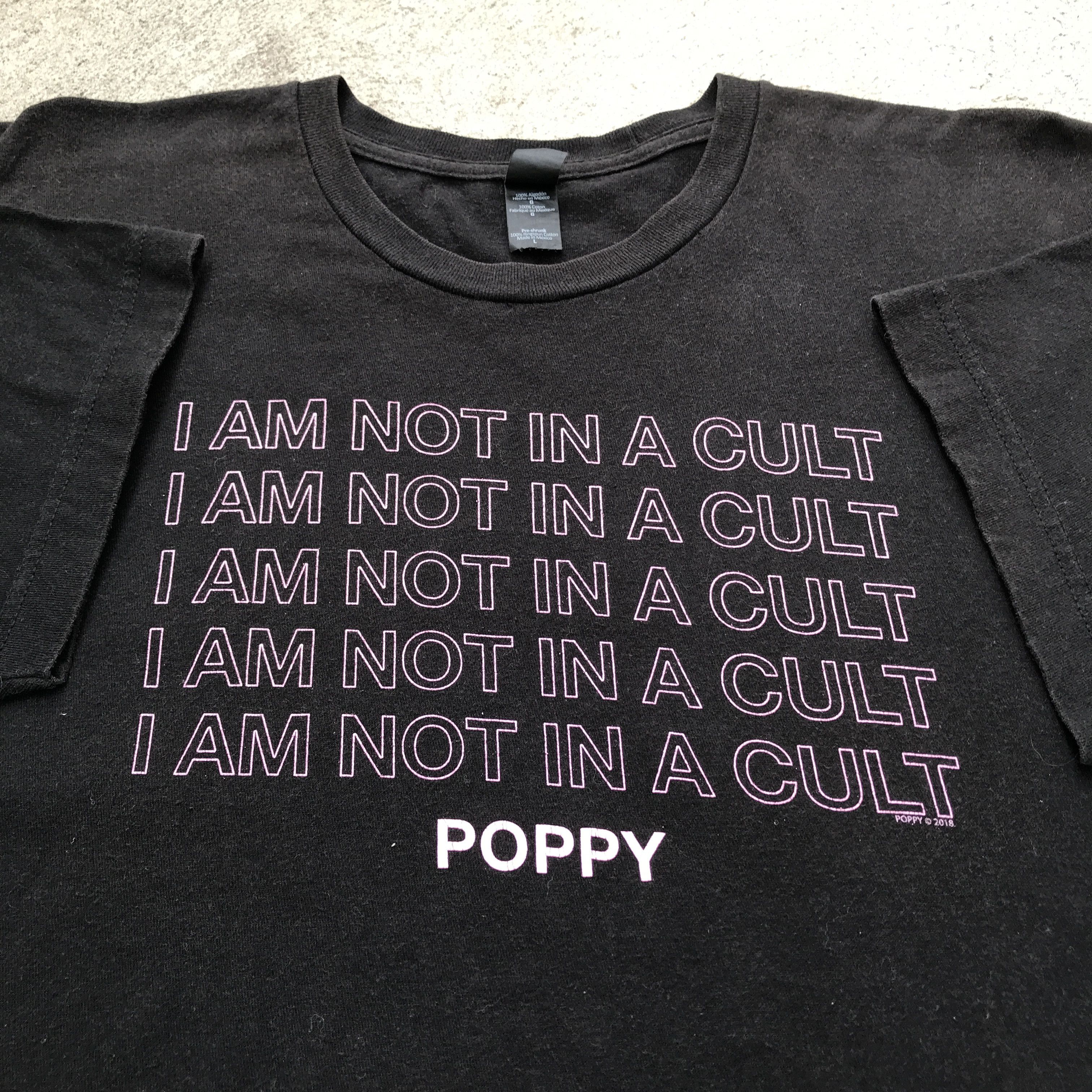 Band Tees × Tultex 2018 POPPY Promo Tee Electronic Industrial music Size US L / EU 52-54 / 3 - 2 Thumbnail