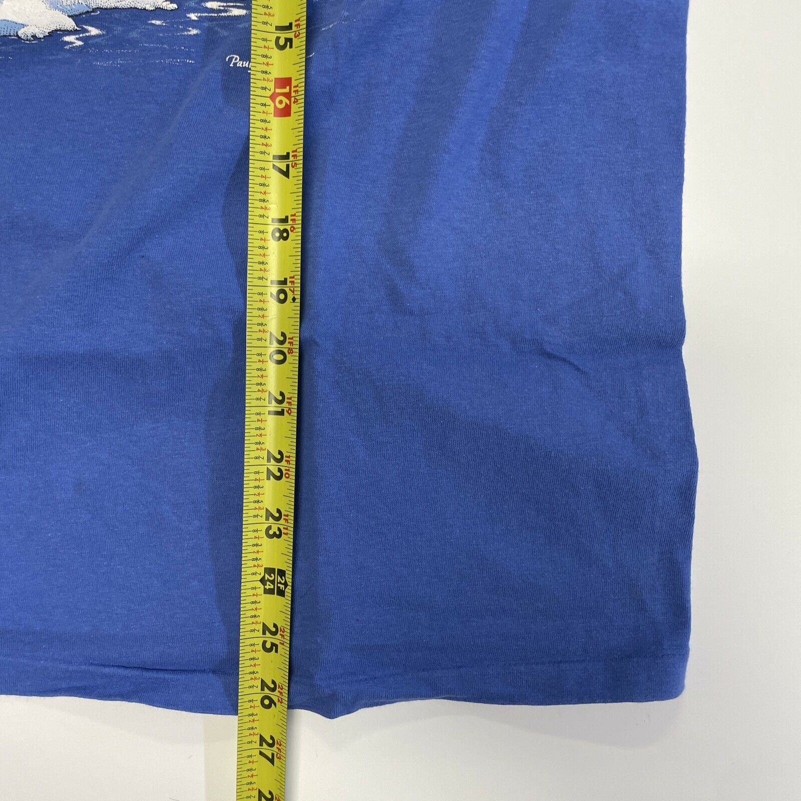 Hanes Vintage 90s polar bear nature single stitch Blue L Size US L / EU 52-54 / 3 - 3 Thumbnail