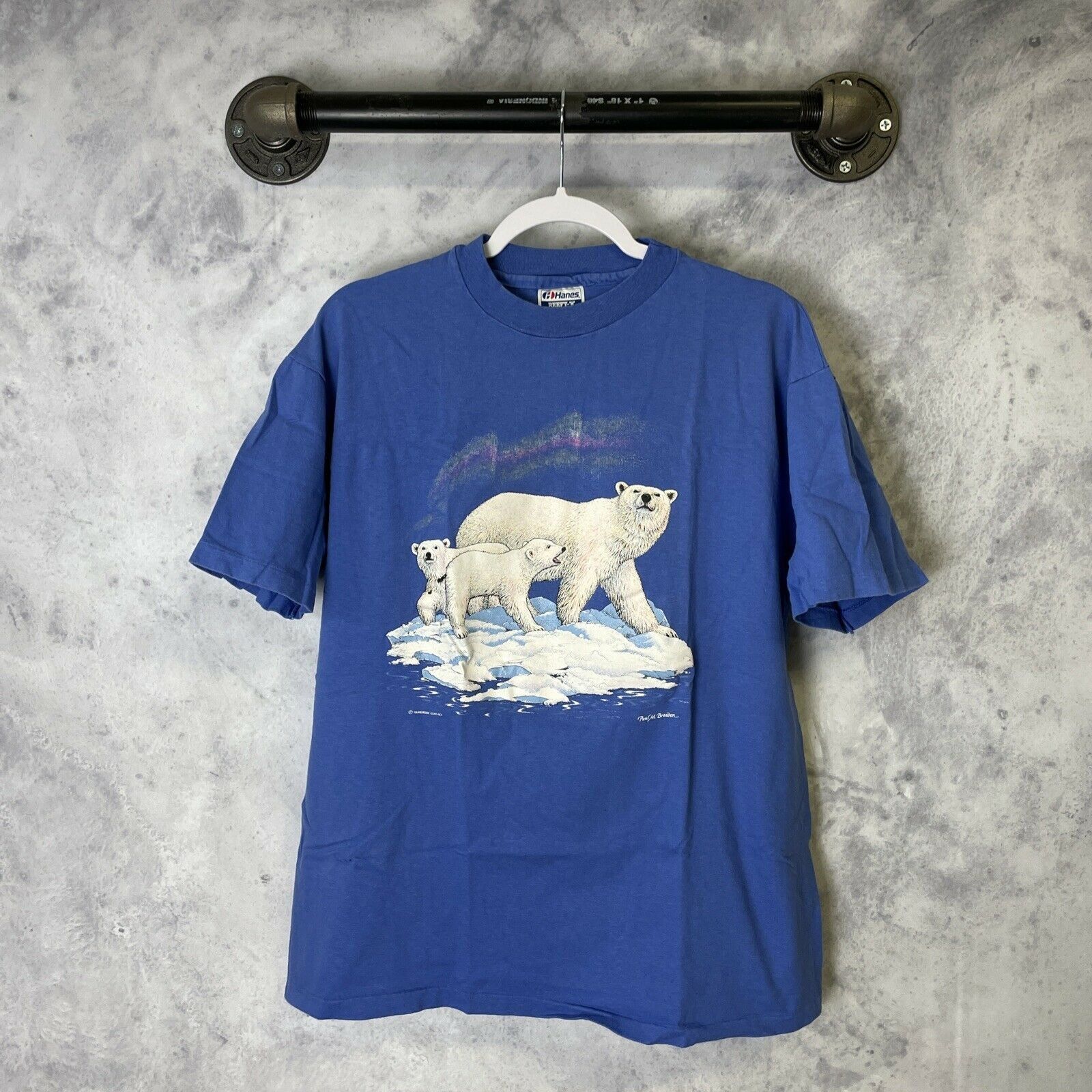 Hanes Vintage 90s polar bear nature single stitch Blue L Size US L / EU 52-54 / 3 - 1 Thumbnail