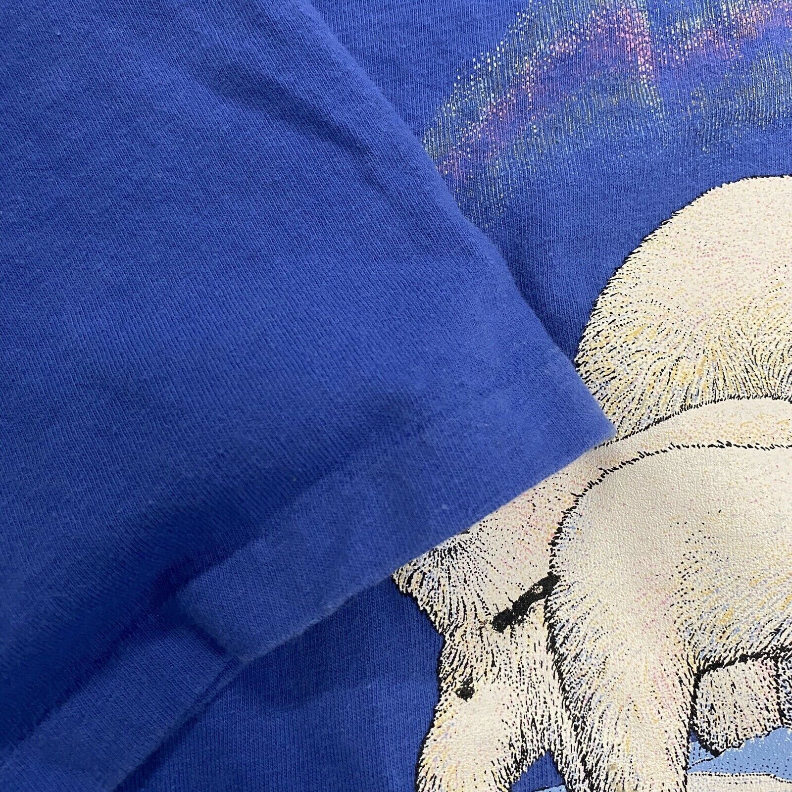 Hanes Vintage 90s polar bear nature single stitch Blue L Size US L / EU 52-54 / 3 - 7 Thumbnail