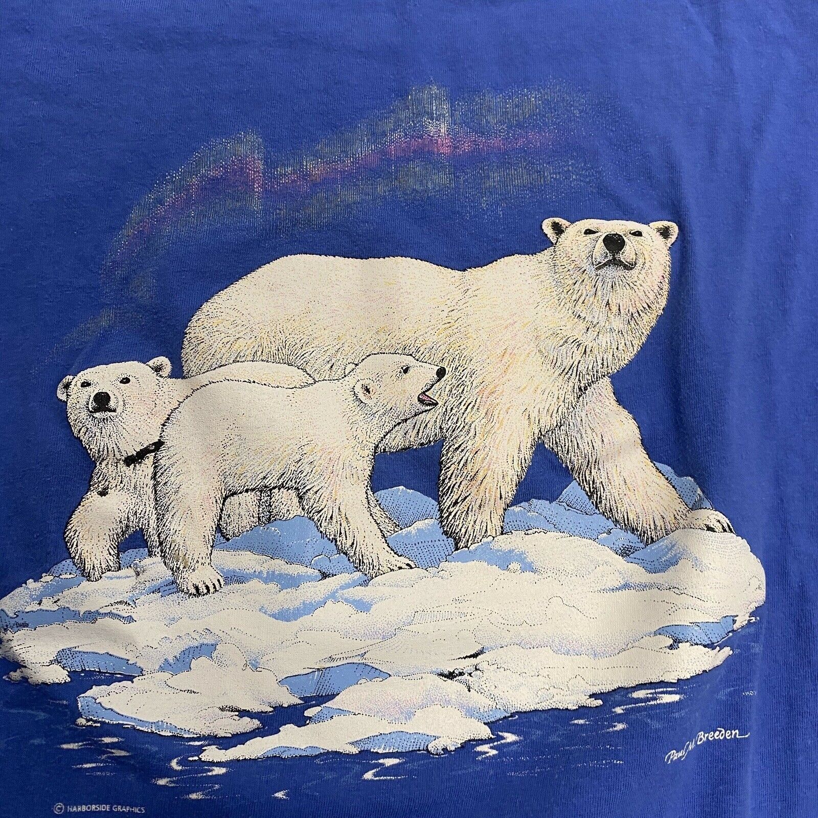 Hanes Vintage 90s polar bear nature single stitch Blue L Size US L / EU 52-54 / 3 - 5 Thumbnail