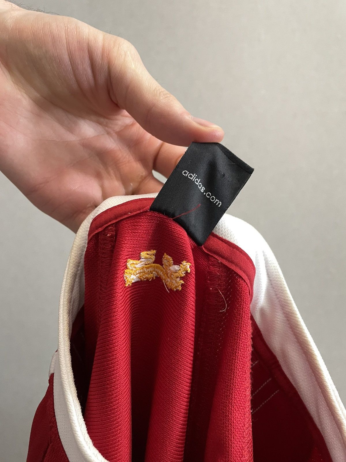 Adidas × Vintage British & Irish Lions Team Jersey Rugby Shirt Adidas Vintage Size US S / EU 44-46 / 1 - 10 Thumbnail