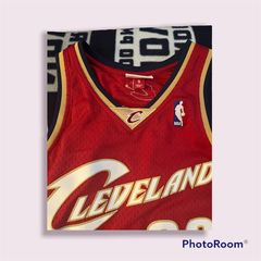 Lebron james sales rookie jersey