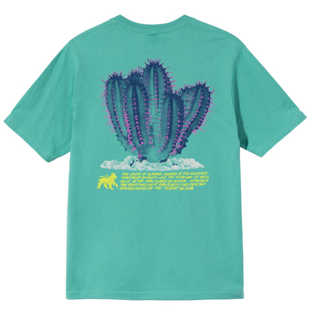 STUSSY DESERT BLOOM TEE