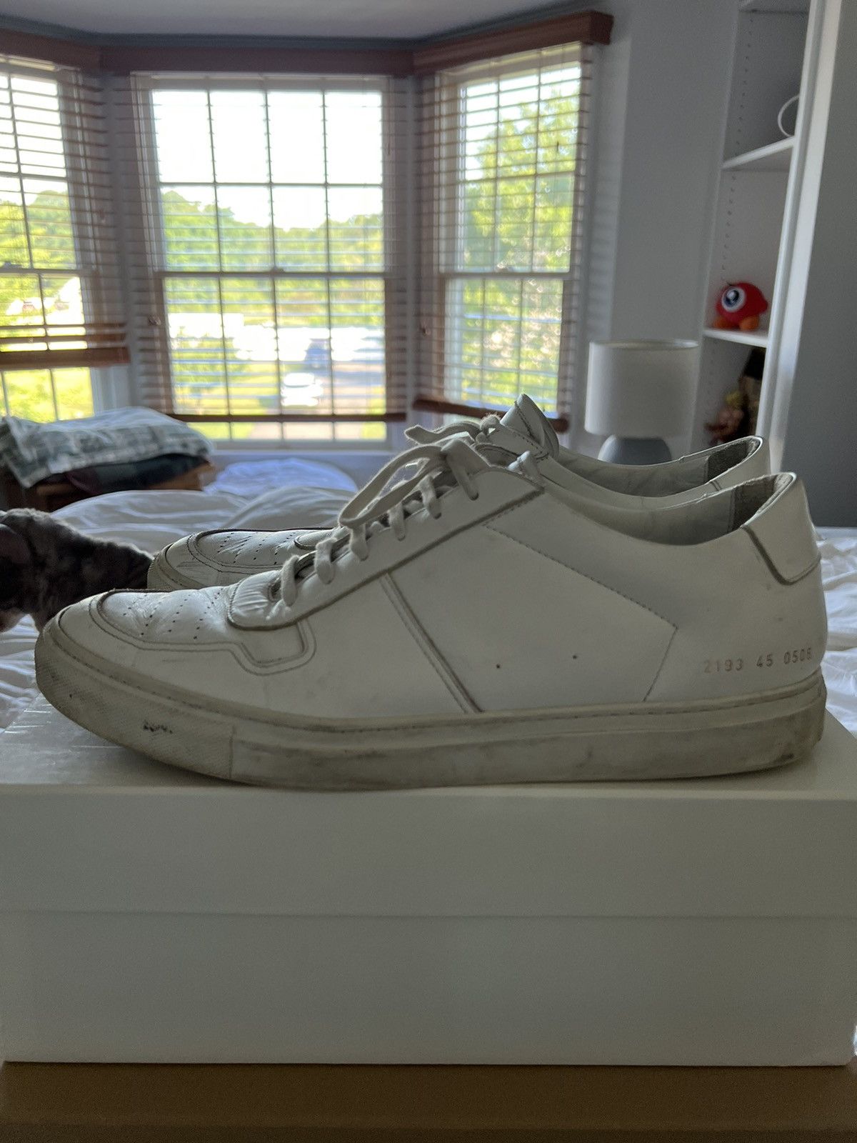 Common projects 2193 online