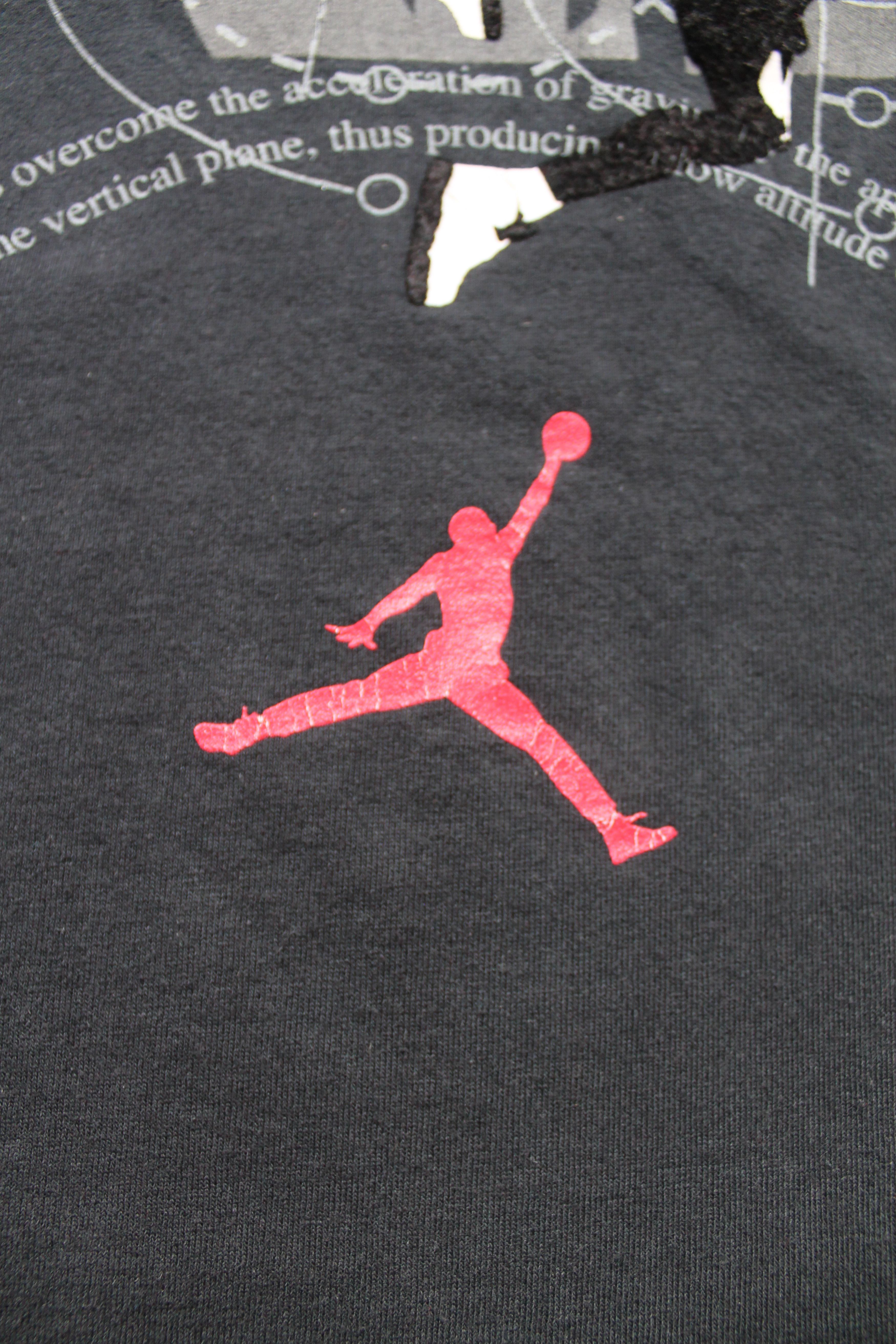 Jordan Brand Air Jordan T shirt Heavy Cotton Reflective Velvet Print Size US M / EU 48-50 / 2 - 4 Thumbnail